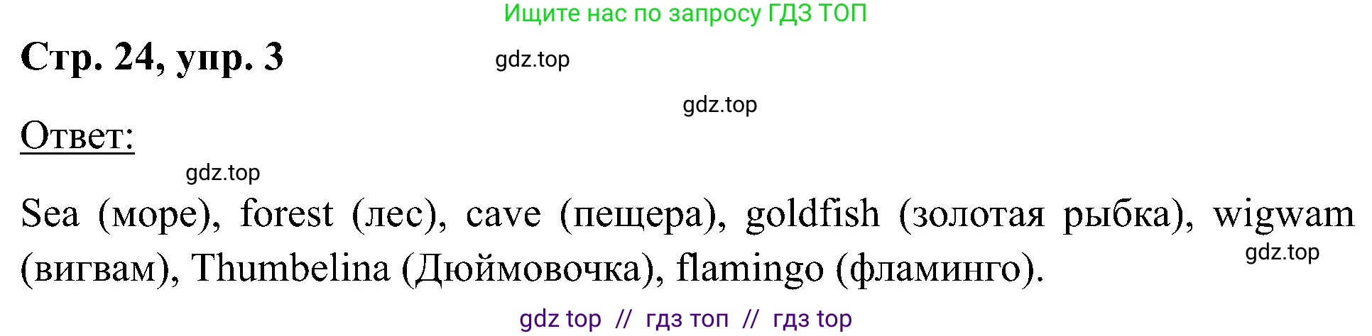 Английский язык (english), 2 класс рабочая тетрадь (activity book), авторы: Кузовлев Владимир Петрович (Kuzovlev Vladimir), Перегудова Эльвира Шакировна, Пастухова Светлана Анатольевна (Pastukhova Svetlana), Стрельникова Ольга Викторовна (Strelnikova Olga), издательство Просвещение, Москва, 2023, розового цвета, страница 24, номер 3, Решение