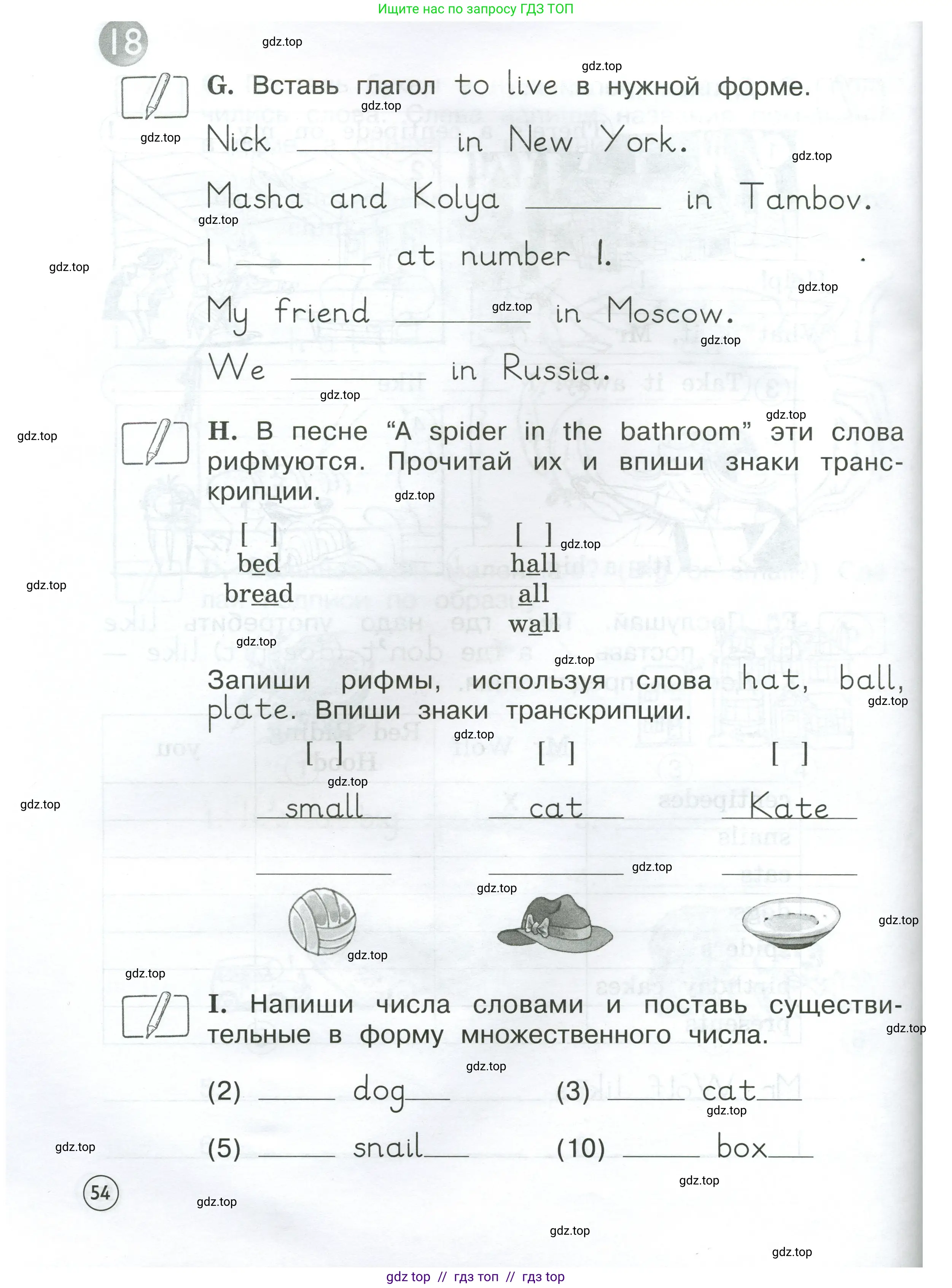 Английский язык (english), 2 класс рабочая тетрадь (activity book), авторы: Вербицкая Мария Валерьевна (Verbitskaya Maria), Оралова Ольга Викторовна (Oralova Olga), Эббс Брайен (Abbs Brian), Уорелл Энн (Worrall Anne), Уорд Энн (Ward Ann), издательство Просвещение, Москва, 2023, зелёного цвета, страница 54