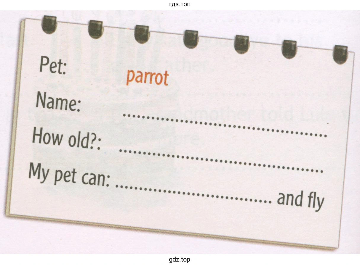 pet: Name: How old?: My pet can: parrot and fly
