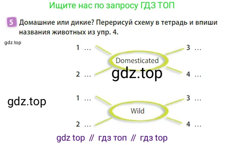 Английский язык (english), 3 класс Учебник (Student's book), авторы: Быкова Надежда Ильинична (Bykova Nadezhda), Дули Дженни (Dooley Jenny), Поспелова Марина Давидовна (Pospelova Marina), Эванс Вирджиния (Evans Virginia), издательство Просвещение, Москва, 2023, зелёного цвета, Часть 2, страница 13, номер 5, Условие