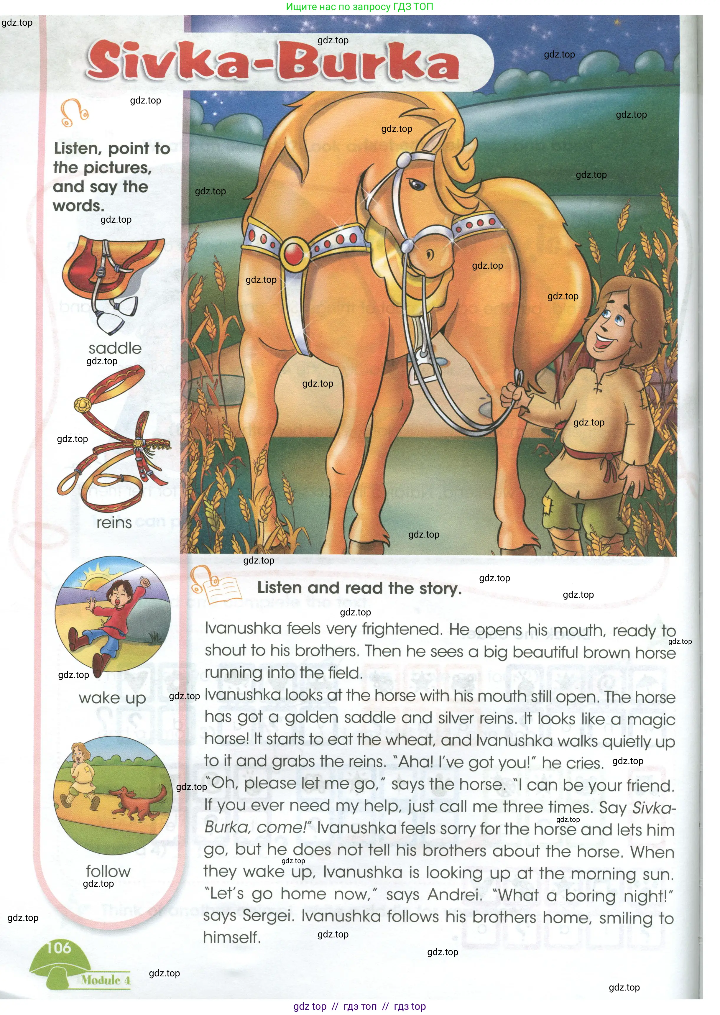 Английский язык (english), 3 класс Учебник (Student's book), авторы: Баранова Ксения Михайловна (Baranova Ksenia), Дули Дженни (Dooley Jenny), Копылова Виктория Викторовна (Kopylova Victoria), Мильруд Радислав Петрович (Millrood Radislav), Эванс Вирджиния (Evans Virginia), издательство Просвещение, Москва, 2023, зелёного цвета, страница 106