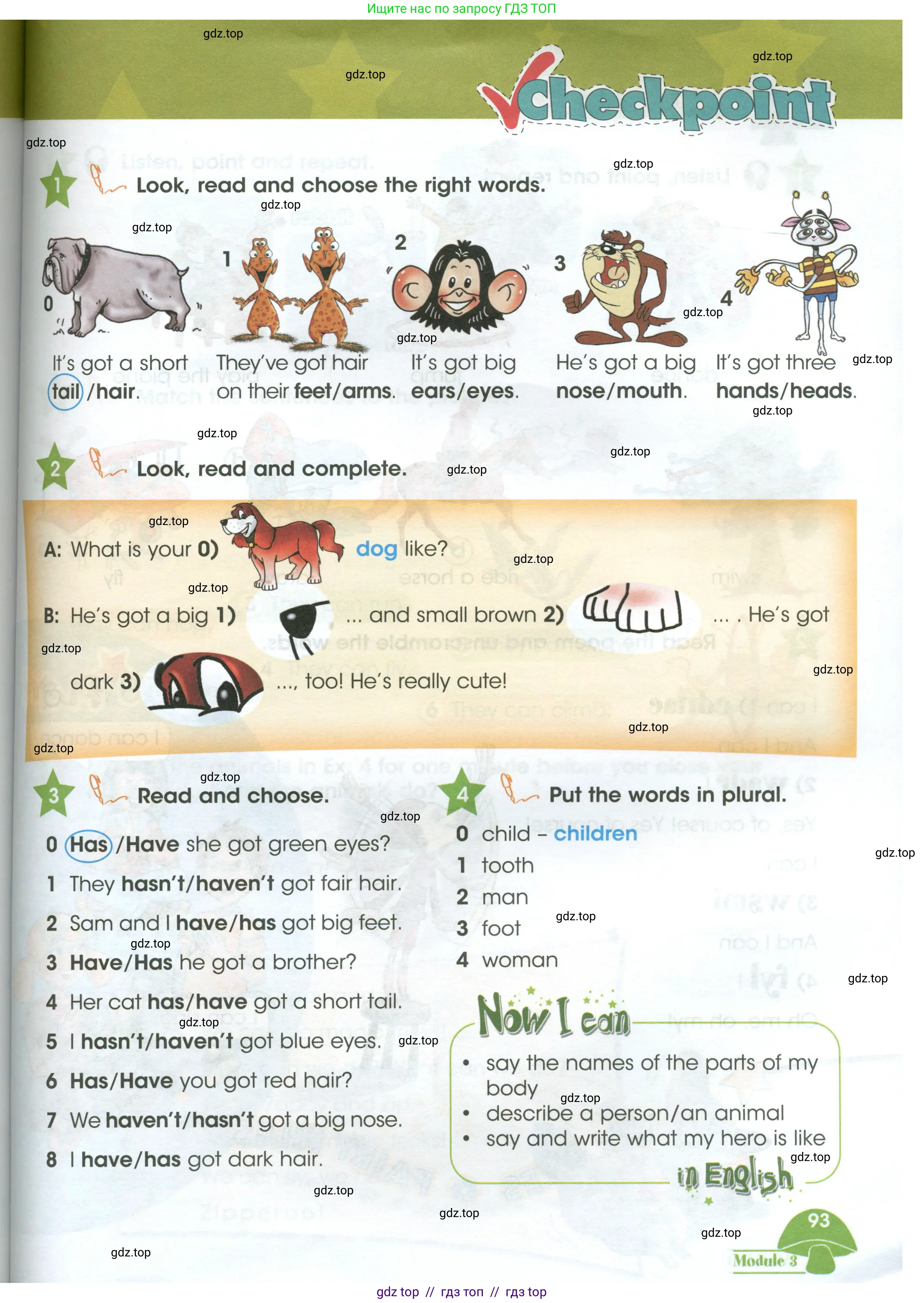 Английский язык (english), 3 класс Учебник (Student's book), авторы: Баранова Ксения Михайловна (Baranova Ksenia), Дули Дженни (Dooley Jenny), Копылова Виктория Викторовна (Kopylova Victoria), Мильруд Радислав Петрович (Millrood Radislav), Эванс Вирджиния (Evans Virginia), издательство Просвещение, Москва, 2023, зелёного цвета, Часть ( Part) 1, страница 93