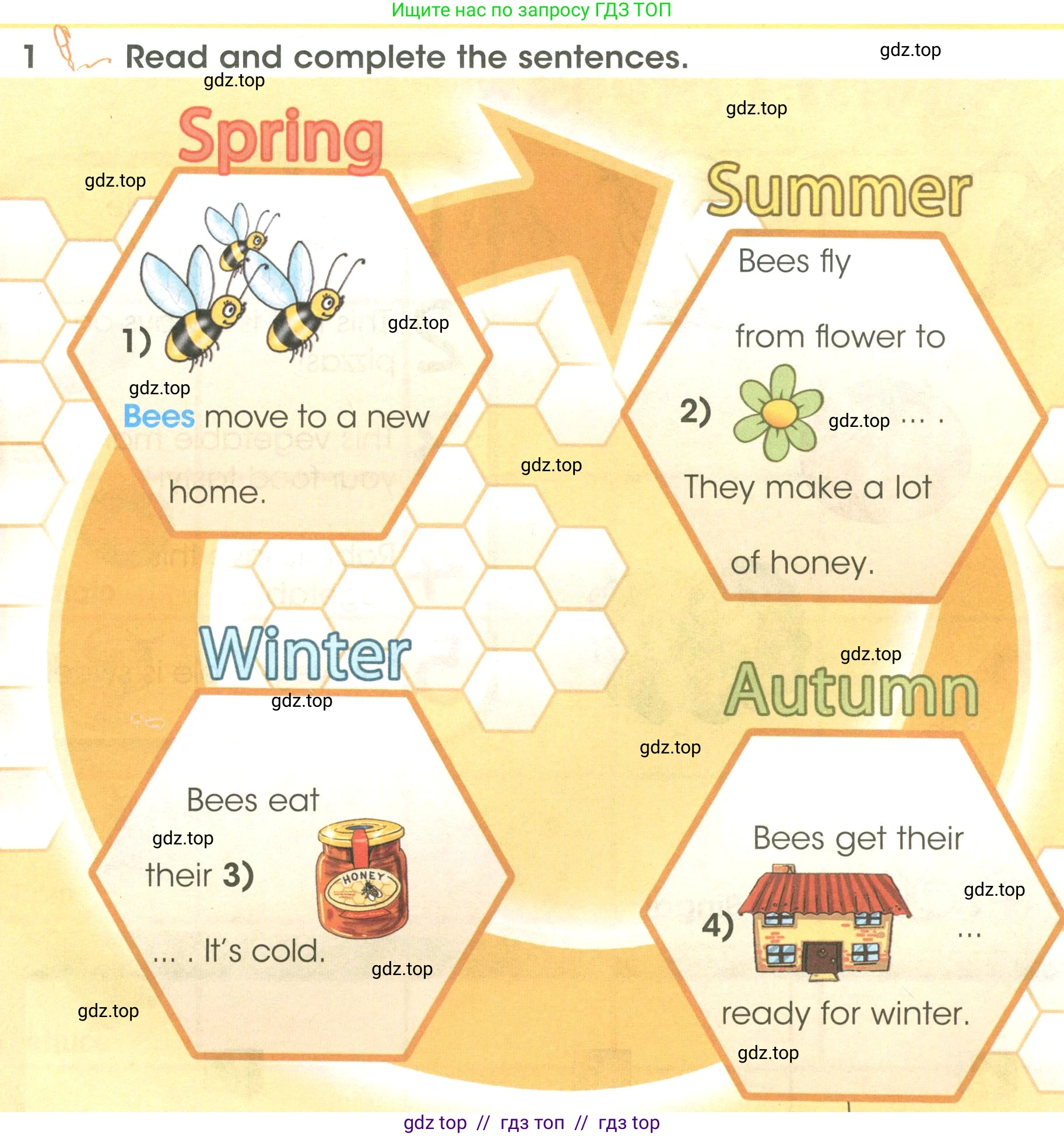 Английский язык (english), 3 класс Учебник (Student's book), авторы: Баранова Ксения Михайловна (Baranova Ksenia), Дули Дженни (Dooley Jenny), Копылова Виктория Викторовна (Kopylova Victoria), Мильруд Радислав Петрович (Millrood Radislav), Эванс Вирджиния (Evans Virginia), издательство Просвещение, Москва, 2023, зелёного цвета, Часть ( Part) 2, страница 116, номер 1, Условие