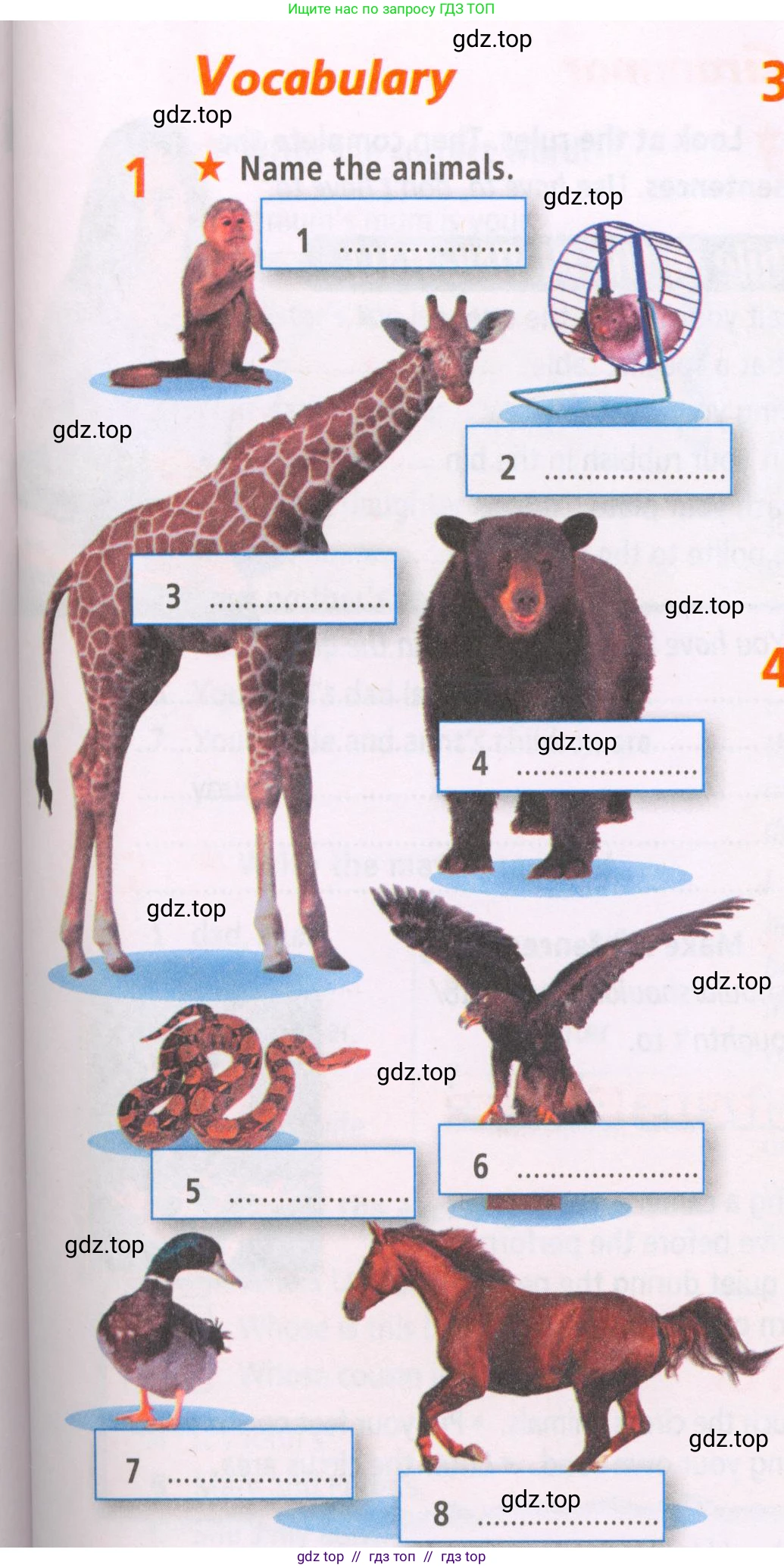 Английский язык (english), 5 класс Рабочая тетрадь (workbook), авторы: Баранова Ксения Михайловна (Baranova Ksenia), Дули Дженни (Dooley Jenny), Копылова Виктория Викторовна (Kopylova Victoria), Мильруд Радислав Петрович (Millrood Radislav), Эванс Вирджиния (Evans Virginia), издательство Просвещение, Москва, 2023, белого цвета, страница 27, номер 1, Условие