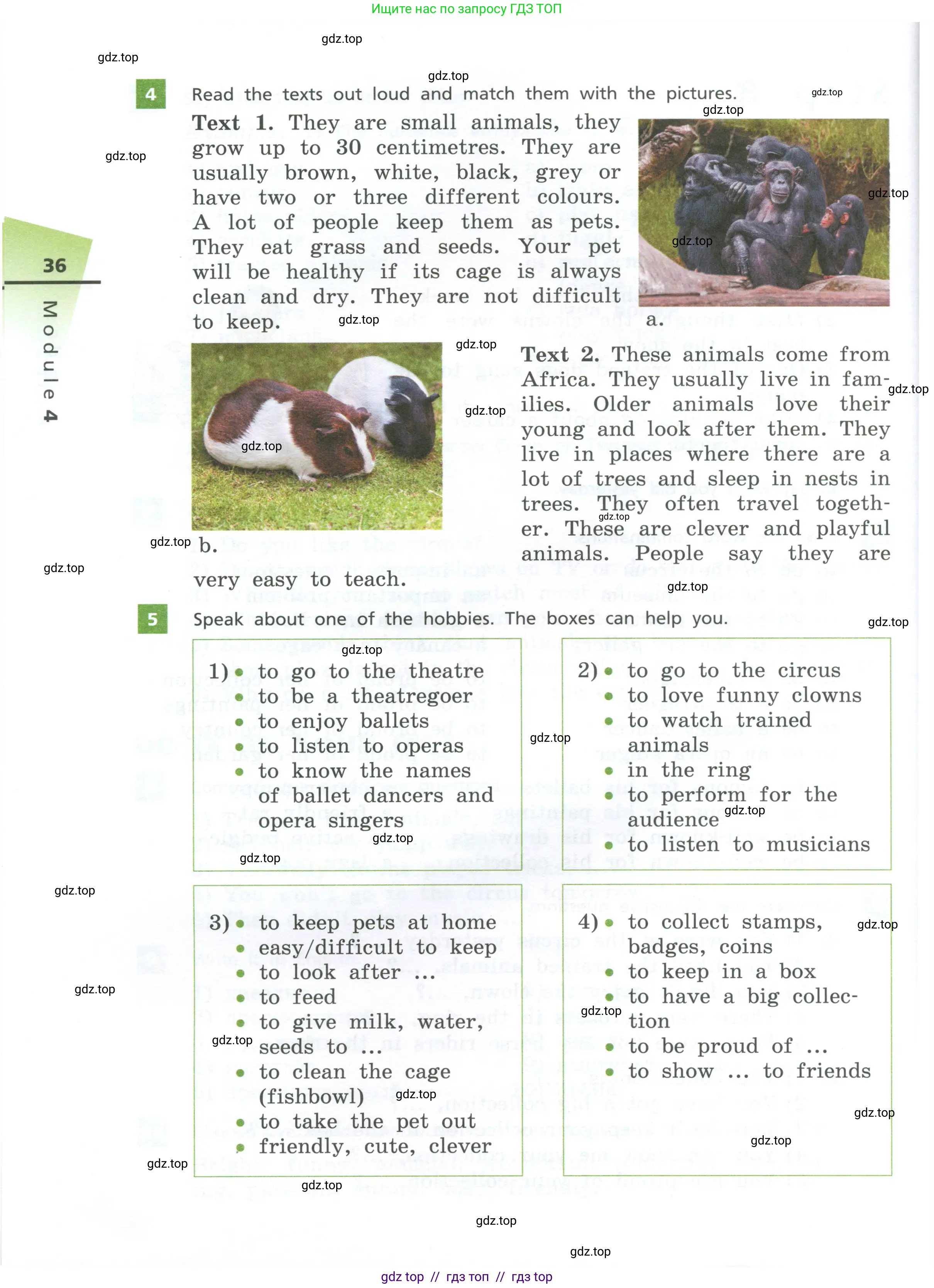 Английский язык (english), 5 класс Учебник, авторы: Афанасьева Ольга Васильевна (Afanasyeva Olga), Михеева Ирина Владимировна (Mikheeva Irina), Баранова Ксения Михайловна (Baranova Ksenia), издательство Просвещение, Москва, 2023, Часть 2, страница 36