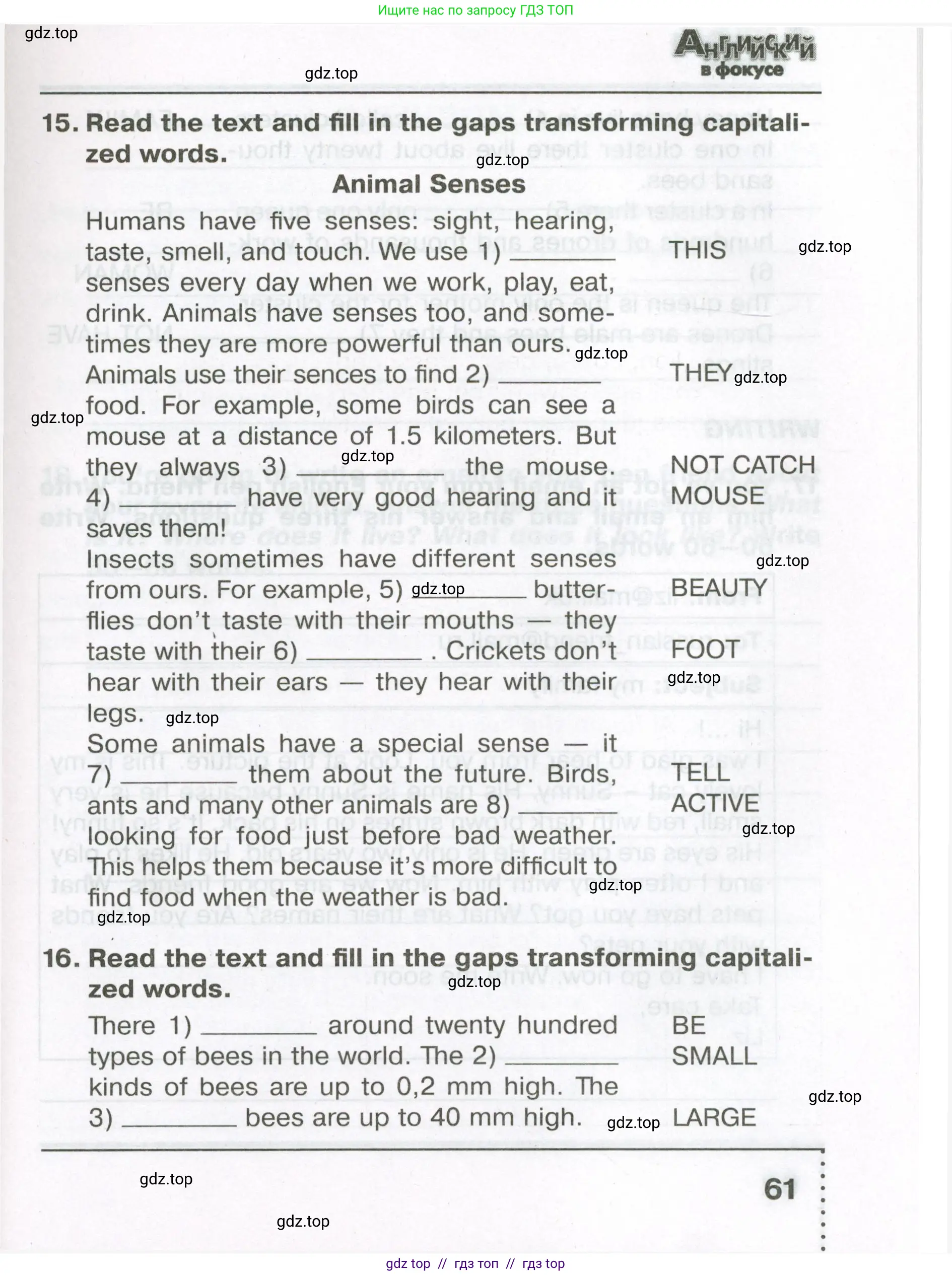 Английский язык (english), 5 класс Тренировочные упражнения в формате ОГЭ (ГИА), авторы: Ваулина Юлия Евгеньевна (Vaulina Julia), Подоляко Ольга Евгеньевна (Podolyako Olga), издательство Просвещение, Москва, 2023, оранжевого цвета, страница 61