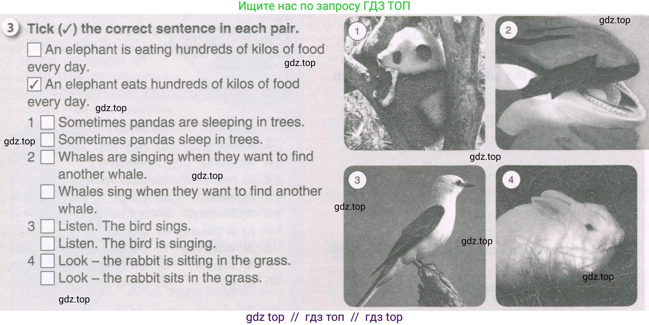 Английский язык (english), 6 класс рабочая тетрадь, авторы: Комарова Юлия Александровна, Ларионова Ирина Владимировна, издательство Русское слово, Москва, 2022, розового цвета, страница 49, номер 3, Условие