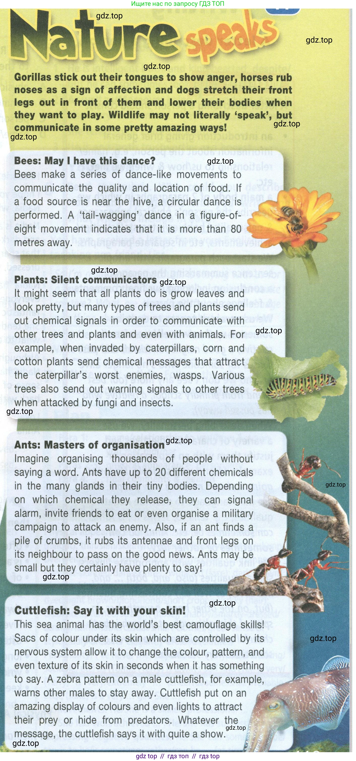 Английский язык (english), 8 класс Учебник (Student's book), авторы: Баранова Ксения Михайловна (Baranova Ksenia), Дули Дженни (Dooley Jenny), Копылова Виктория Викторовна (Kopylova Victoria), Мильруд Радислав Петрович (Millrood Radislav), Эванс Вирджиния (Evans Virginia), издательство Просвещение, Москва, 2023, белого цвета, страница 119, номер 4, Условие 2023-2027 (продолжение 2)