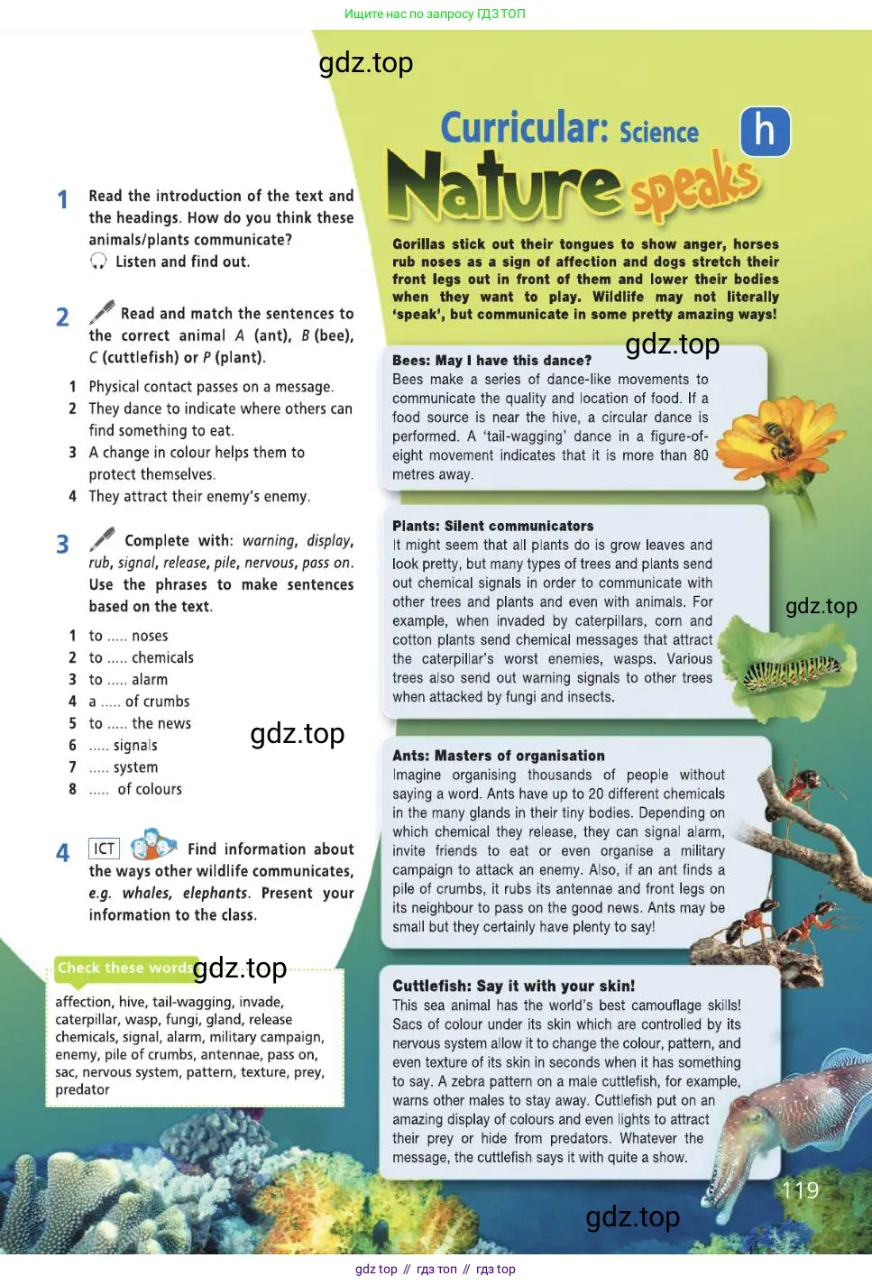 Английский язык (english), 8 класс Учебник (Student's book), авторы: Баранова Ксения Михайловна (Baranova Ksenia), Дули Дженни (Dooley Jenny), Копылова Виктория Викторовна (Kopylova Victoria), Мильруд Радислав Петрович (Millrood Radislav), Эванс Вирджиния (Evans Virginia), издательство Просвещение, Москва, 2023, белого цвета, страница 119