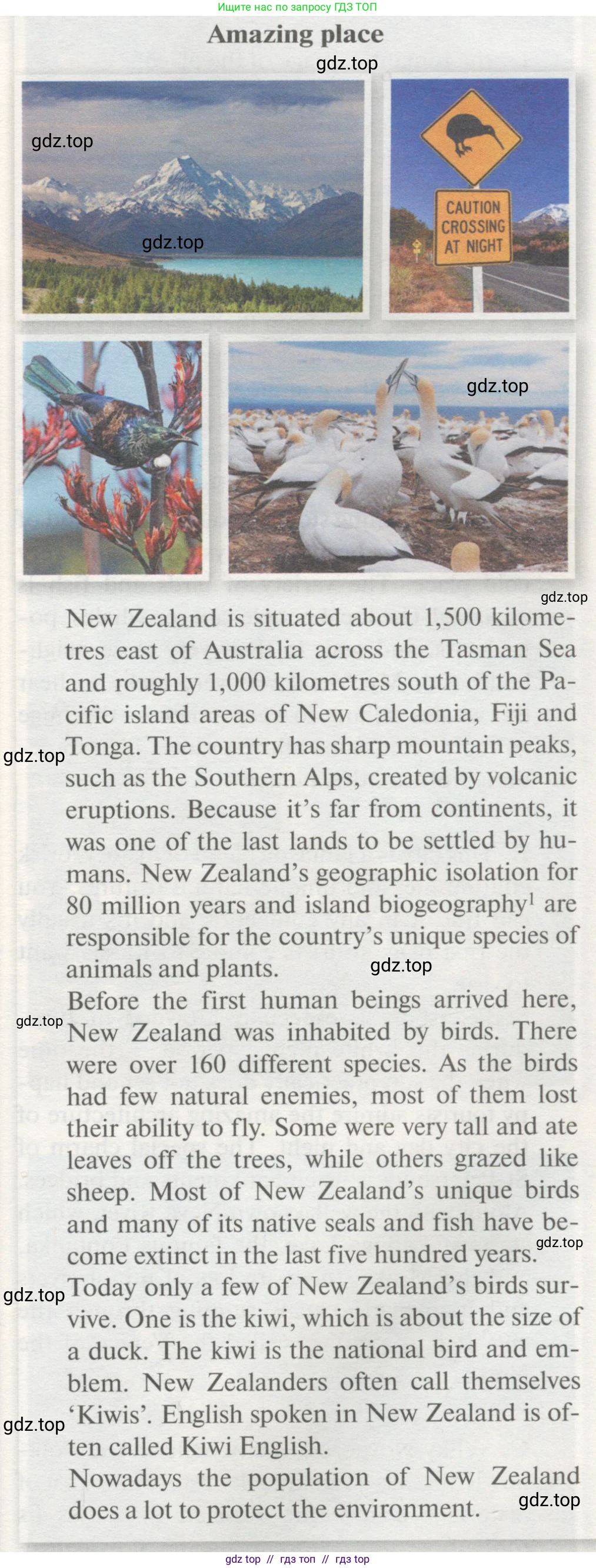 Английский язык (english), 8 класс Учебник (Student's book), авторы: Биболетова Мерем Забатовна, Трубанева Наталия Николаевна, издательство Просвещение, Москва, 2017, зелёного цвета, страница 43, номер 134, Условие (продолжение 2)