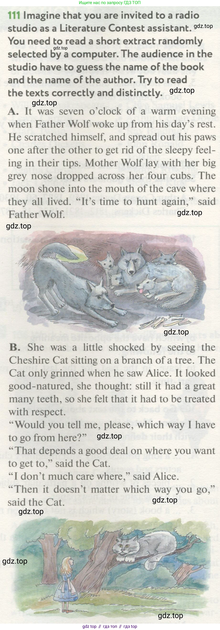 Английский язык (english), 8 класс Учебник (Student's book), авторы: Биболетова Мерем Забатовна, Трубанева Наталия Николаевна, издательство Просвещение, Москва, 2017, зелёного цвета, страница 116, номер 111, Условие