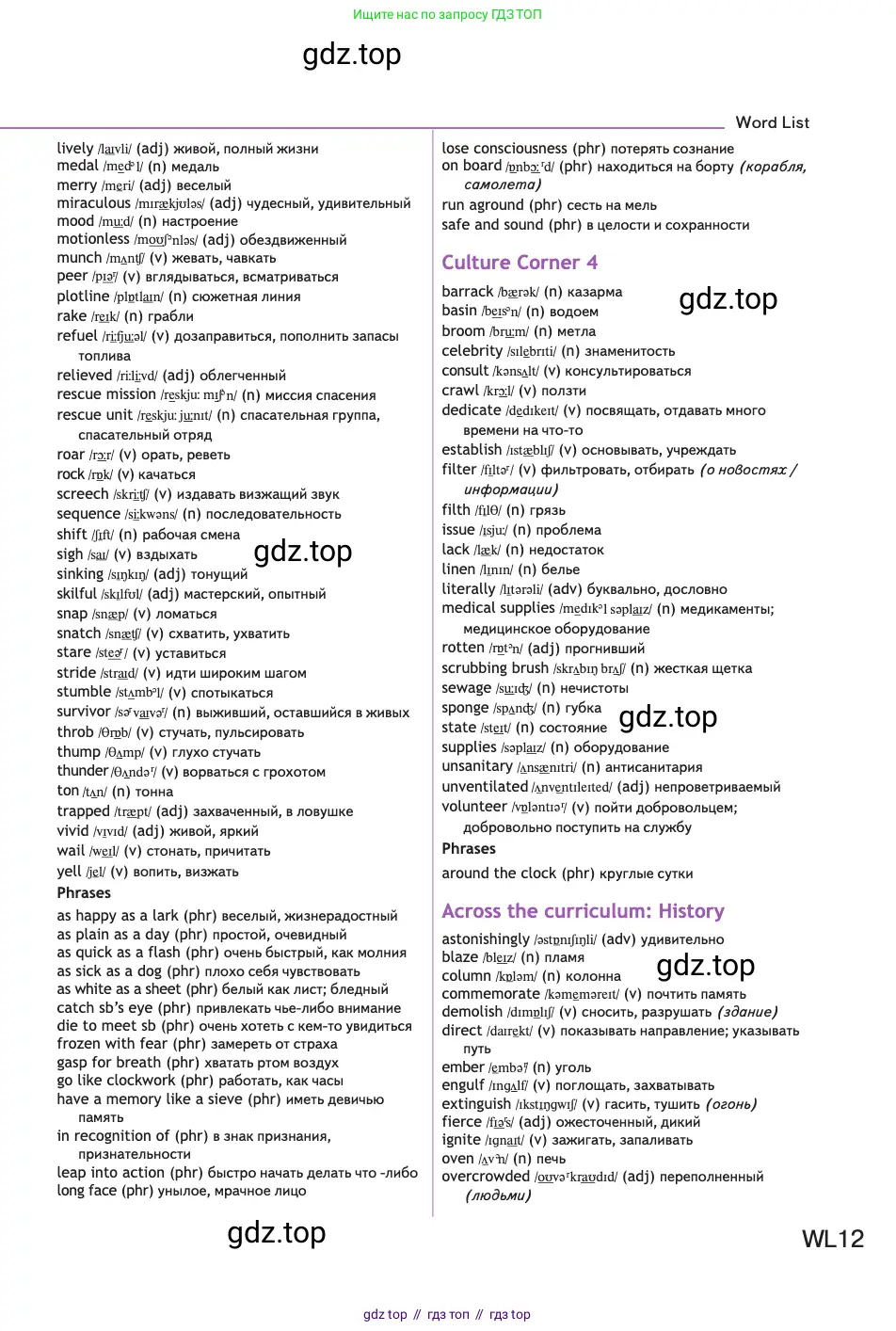 Английский язык (english), 11 класс Учебник (Student's book), авторы: Афанасьева Ольга Васильевна (Afanasyeva Olga), Дули Дженни (Dooley Jenny), Михеева Ирина Владимировна (Mikheeva Irina), Оби Боб (Obee Bob), Эванс Вирджиния (Evans Virginia), издательство Просвещение, Москва, 2019, страница 240