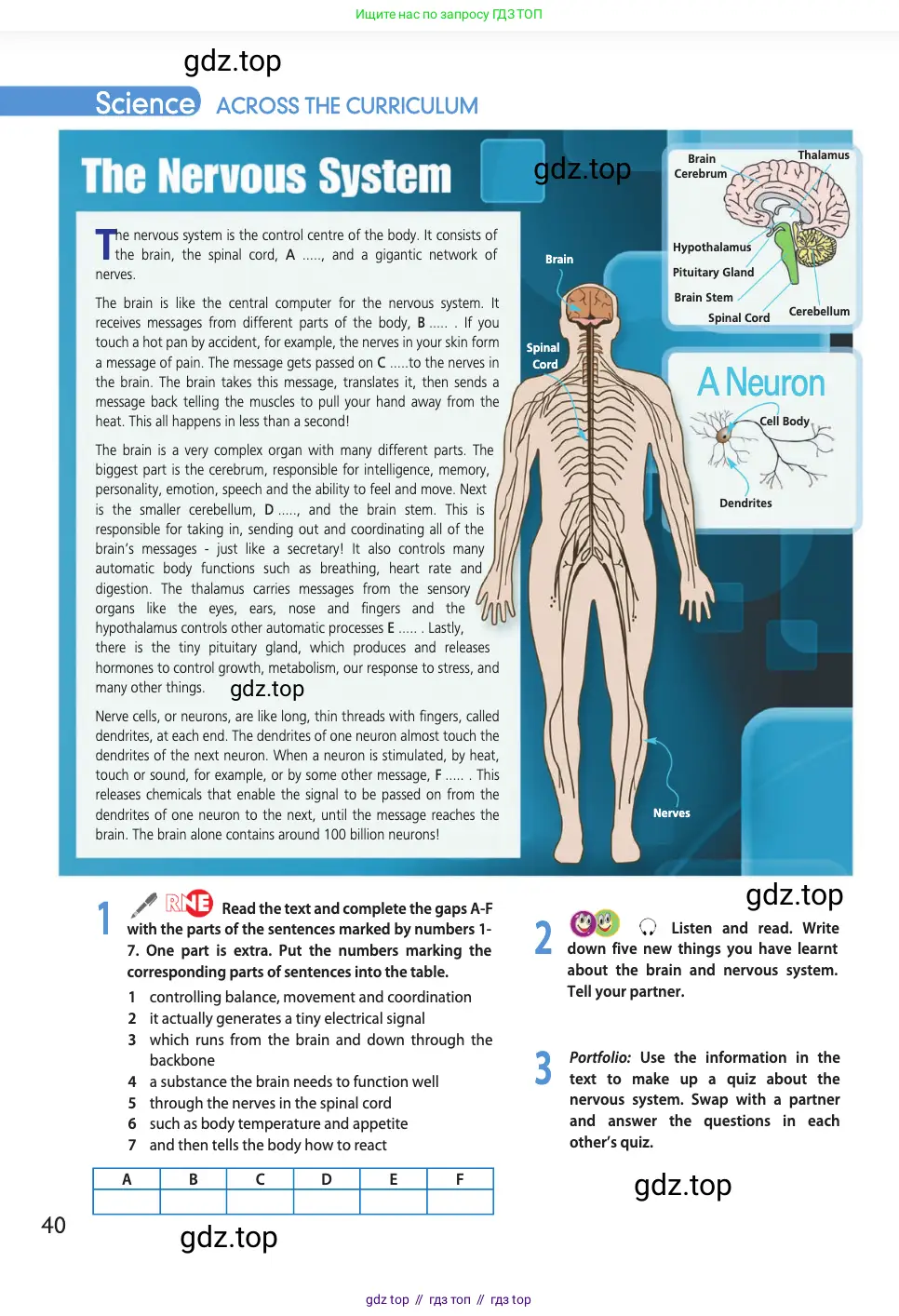 Английский язык (english), 11 класс Учебник (Student's book), авторы: Афанасьева Ольга Васильевна (Afanasyeva Olga), Дули Дженни (Dooley Jenny), Михеева Ирина Владимировна (Mikheeva Irina), Оби Боб (Obee Bob), Эванс Вирджиния (Evans Virginia), издательство Просвещение, Москва, 2019, страница 40
