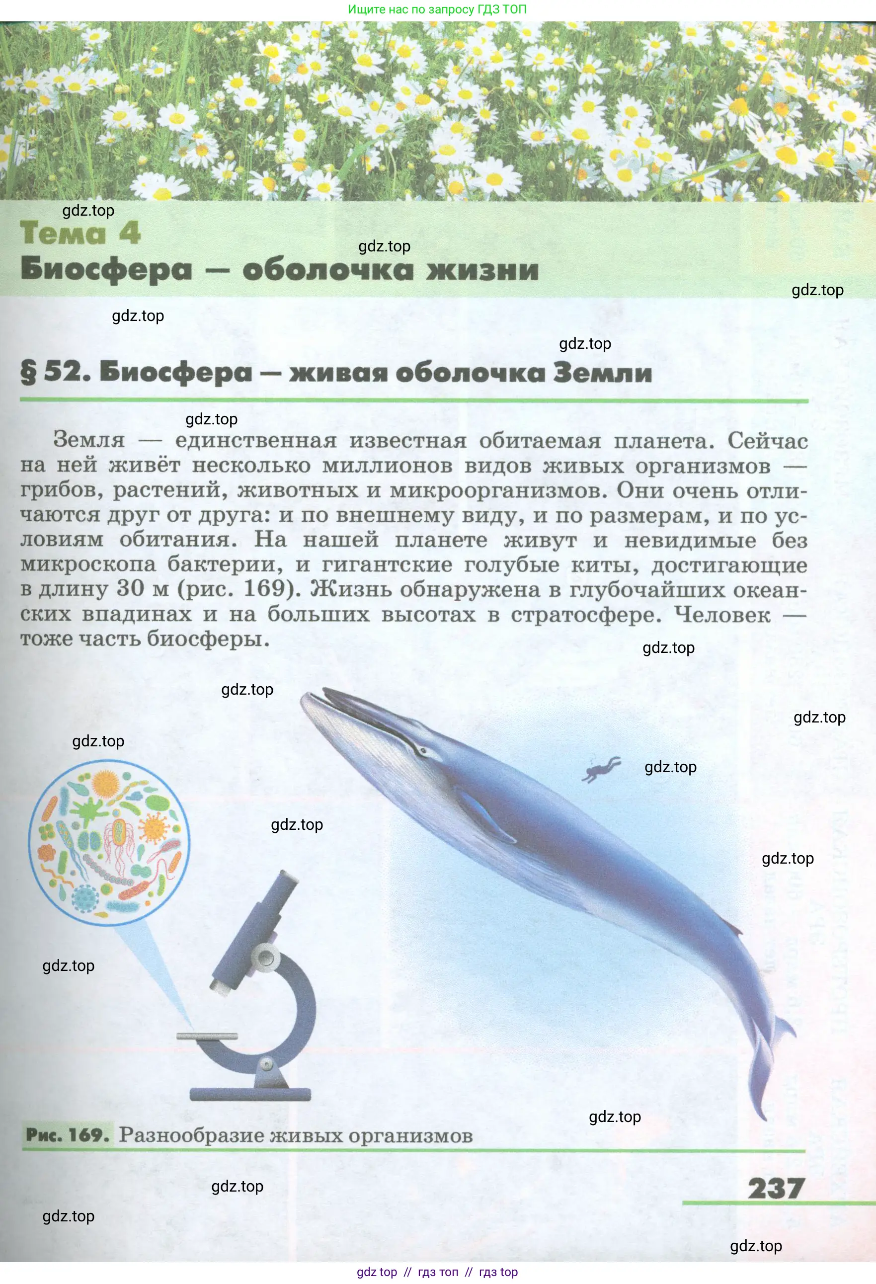 География, 5-6 класс Учебник, авторы: Климанова Оксана Александровна, Климанов Владимир Викторович, Ким Эльвира Васильевна, Сиротин Владимир Иванович, Румянцев Александр Владимирович, Панасенкова Ольга Алексеевна, издательство Просвещение, Москва, 2023, белого цвета, страница 237