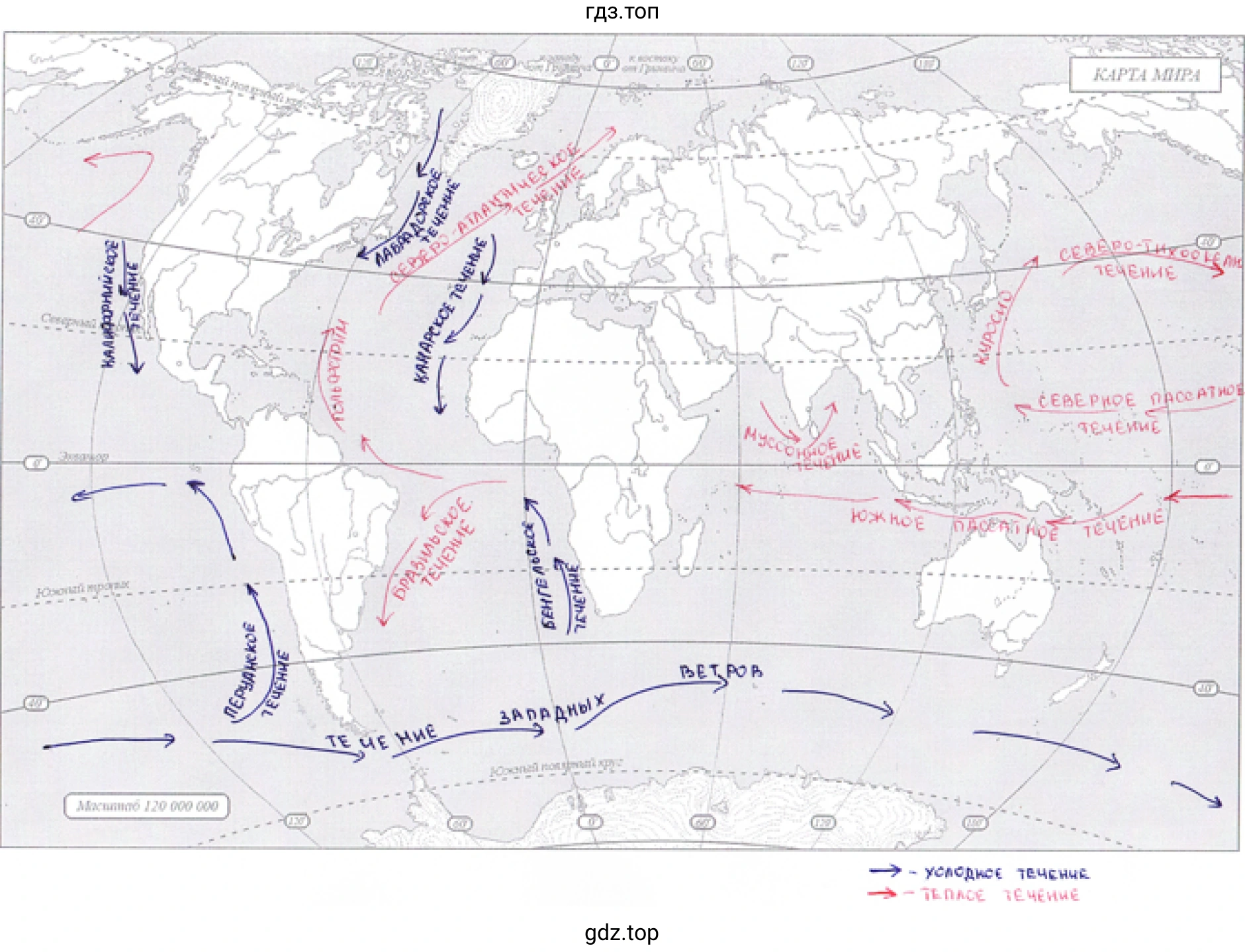 Холодные и тёплые течения океанов