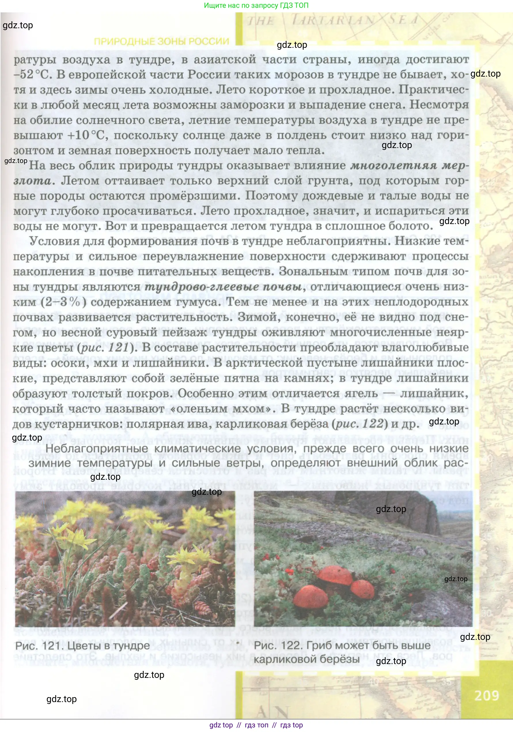 География, 8 класс Учебник, авторы: Домогацких Евгений Михайлович, Алексеевский Николай Иванович, издательство Русское слово, Москва, жёлтого цвета, страница 209