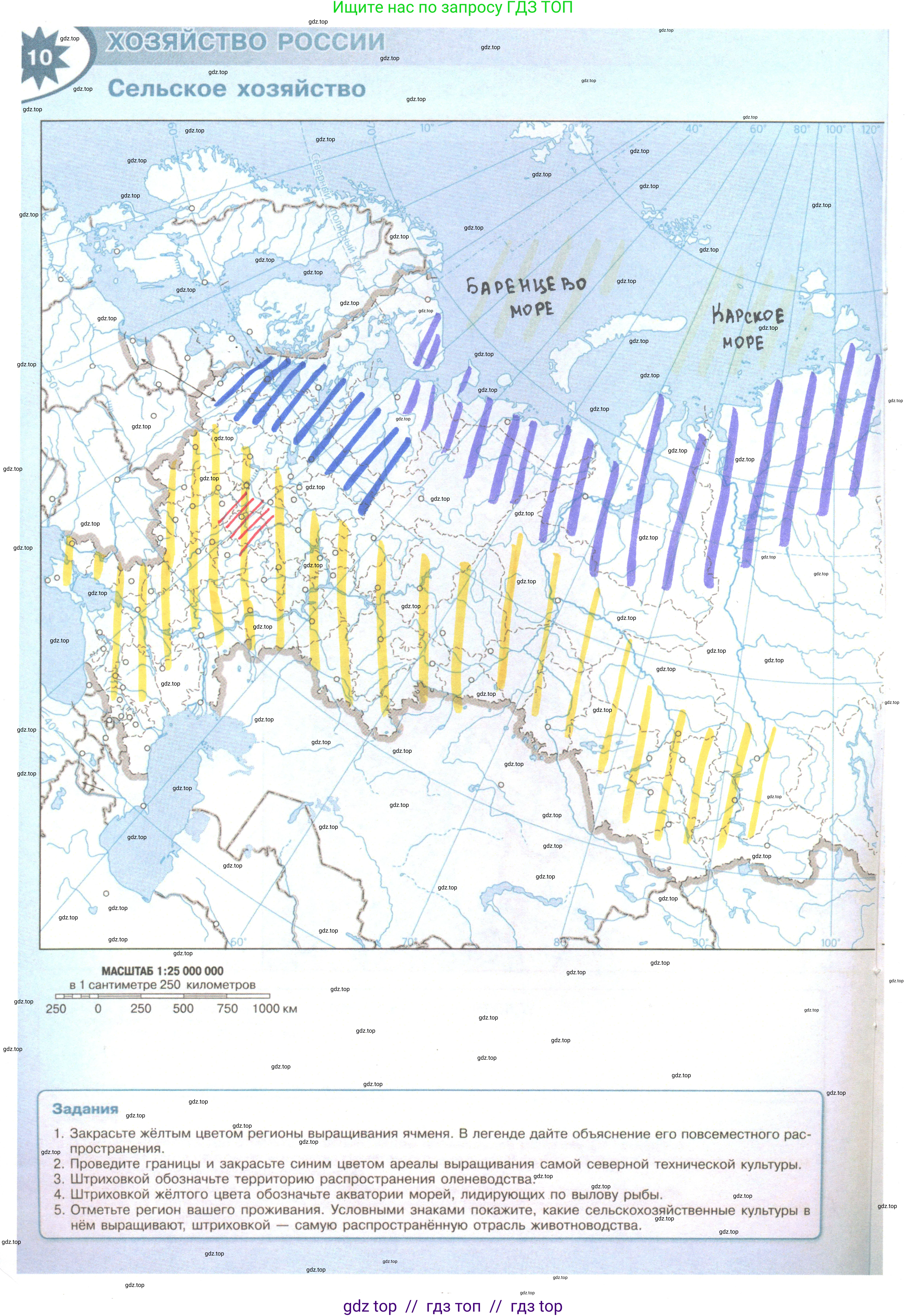 География, 9 класс Контурные карты, автор: Матвеев Алексей Владимирович, издательство Просвещение, Москва, 2024, жёлтого цвета, страница 10, Решение