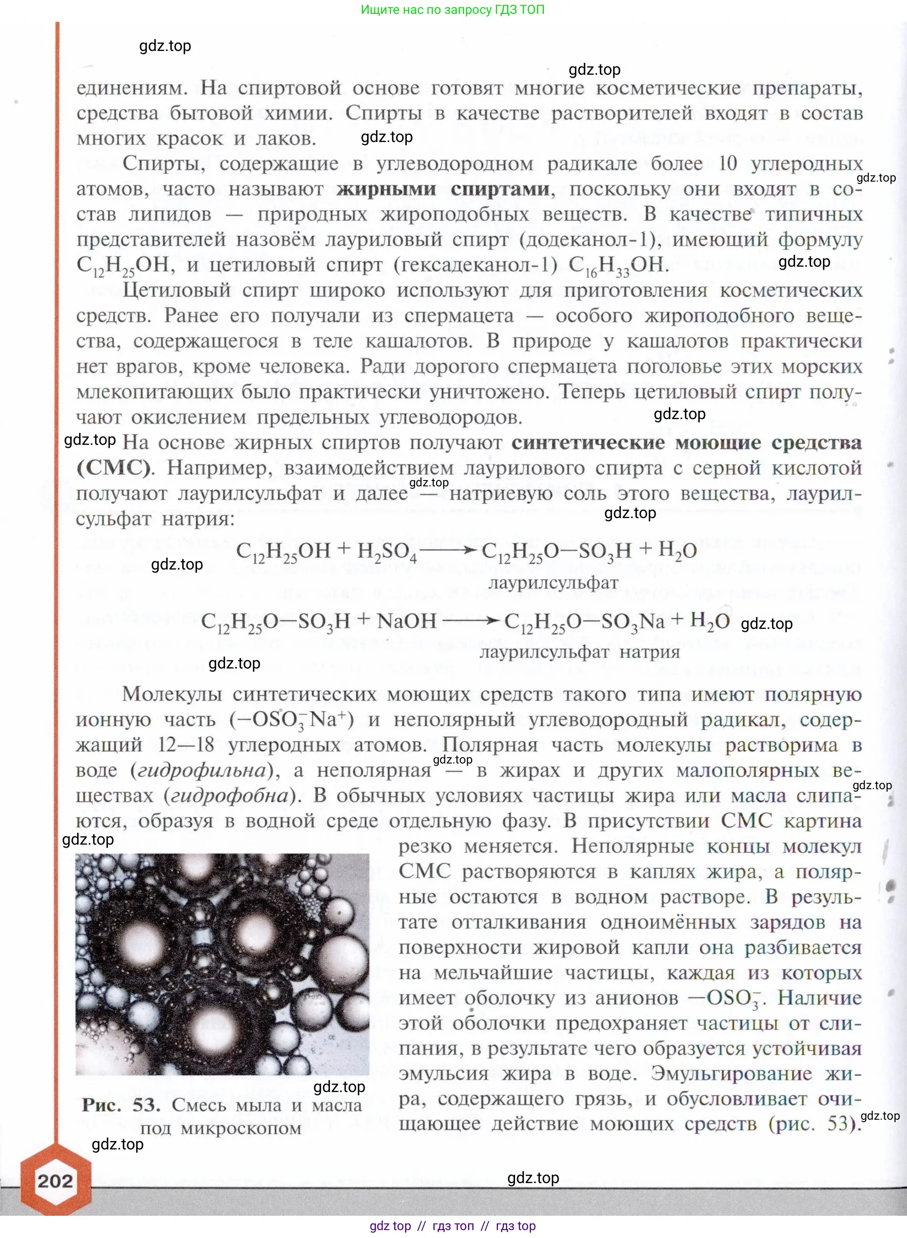 Химия, 10 класс Учебник, авторы: Габриелян Олег Саргисович, Остроумов Игорь Геннадьевич, Сладков Сергей Анатольевич, издательство Просвещение, Москва, 2021, белого цвета, страница 202