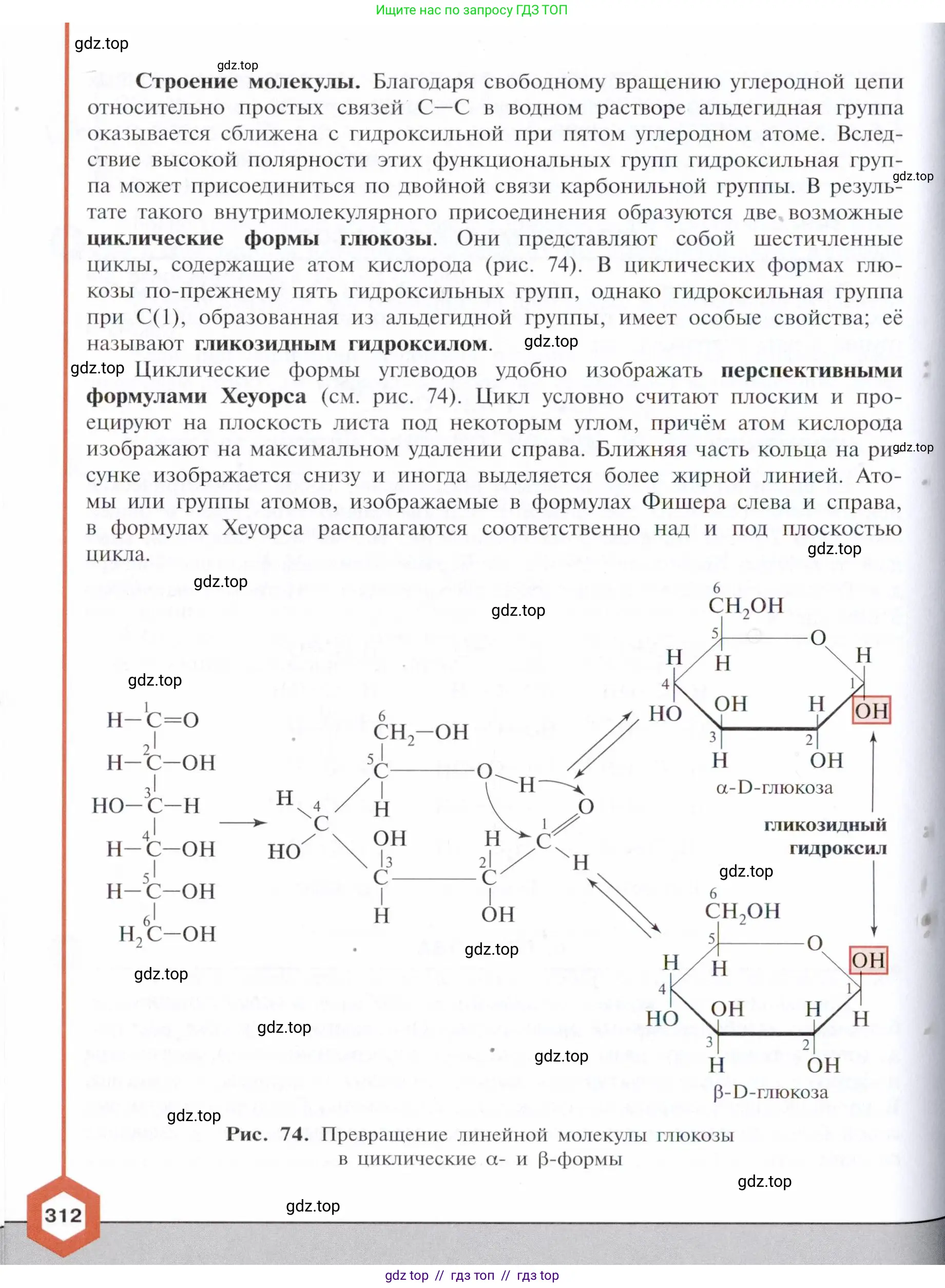 Химия, 10 класс Учебник, авторы: Габриелян Олег Саргисович, Остроумов Игорь Геннадьевич, Сладков Сергей Анатольевич, издательство Просвещение, Москва, 2021, белого цвета, страница 312