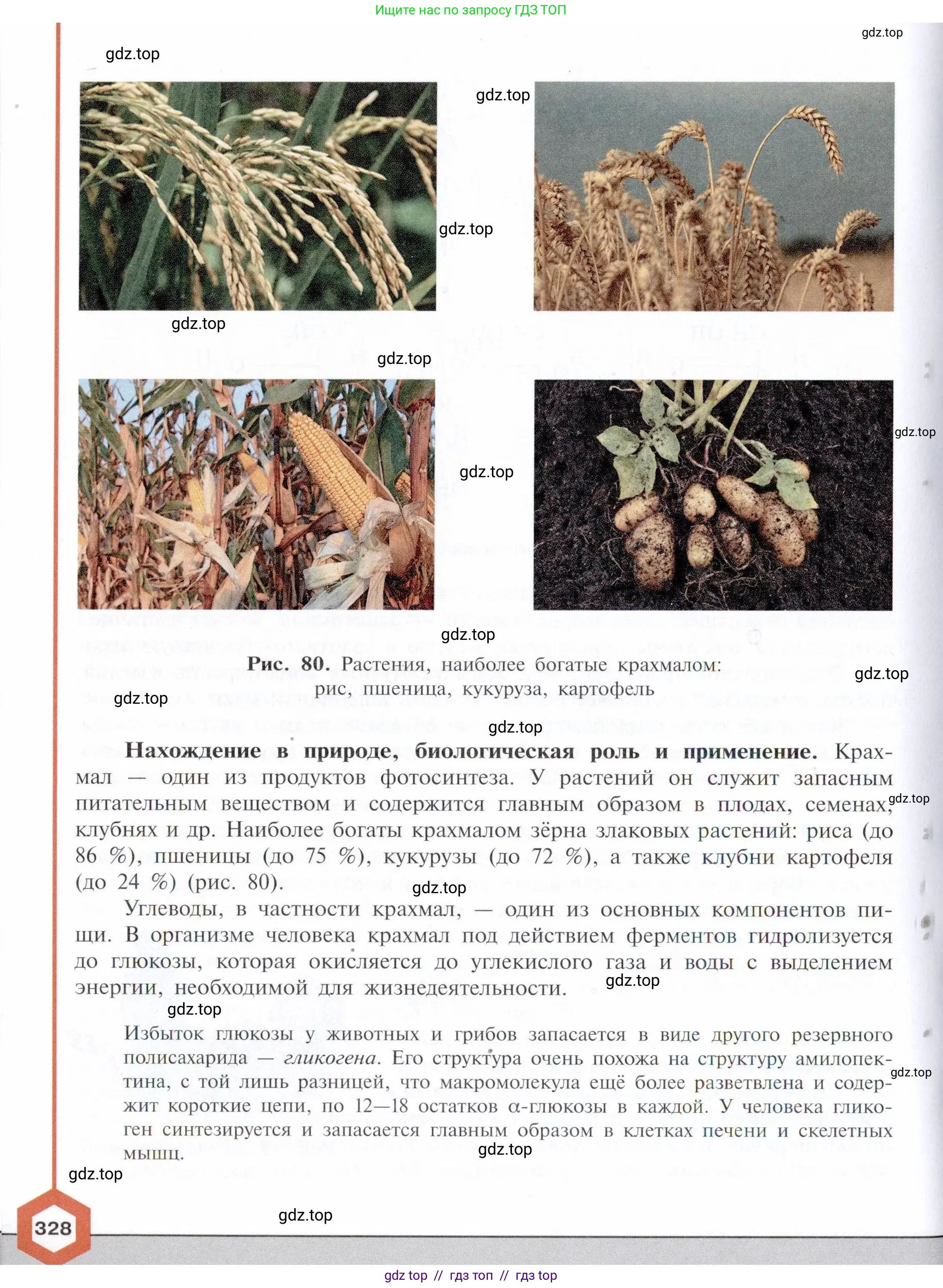 Химия, 10 класс Учебник, авторы: Габриелян Олег Саргисович, Остроумов Игорь Геннадьевич, Сладков Сергей Анатольевич, издательство Просвещение, Москва, 2021, белого цвета, страница 328