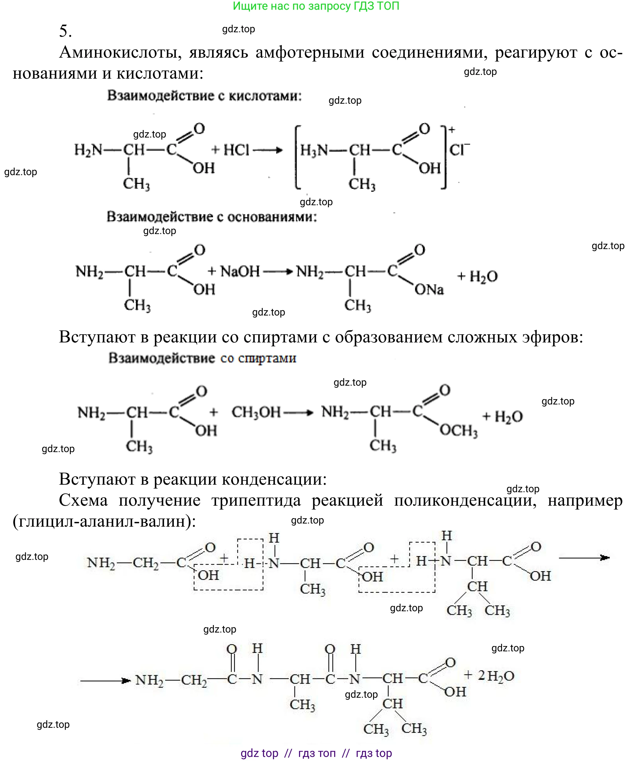 Химия, 10 класс Учебник, авторы: Габриелян Олег Саргисович, Остроумов Игорь Геннадьевич, Сладков Сергей Анатольевич, издательство Просвещение, Москва, 2021, белого цвета, страница 362, номер 5, Решение