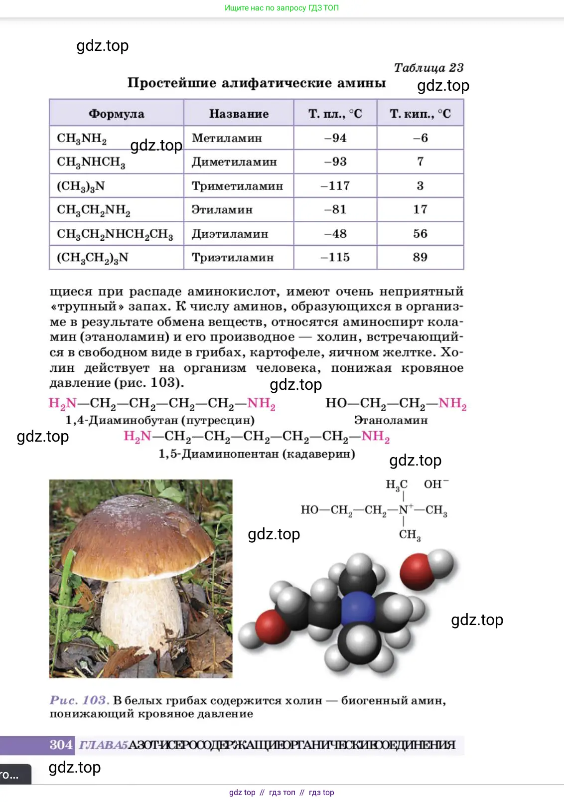 Химия, 10 класс Учебник, авторы: Еремин Вадим Владимирович, Кузьменко Николай Егорович, Теренин Владимир Ильич, Дроздов Андрей Анатольевич, Лунин Валерий Васильевич, издательство Просвещение, Москва, 2023, белого цвета, страница 304