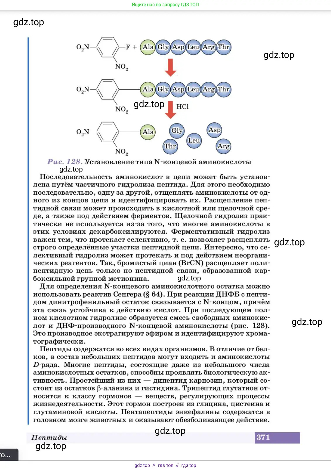 Химия, 10 класс Учебник, авторы: Еремин Вадим Владимирович, Кузьменко Николай Егорович, Теренин Владимир Ильич, Дроздов Андрей Анатольевич, Лунин Валерий Васильевич, издательство Просвещение, Москва, 2023, белого цвета, страница 371