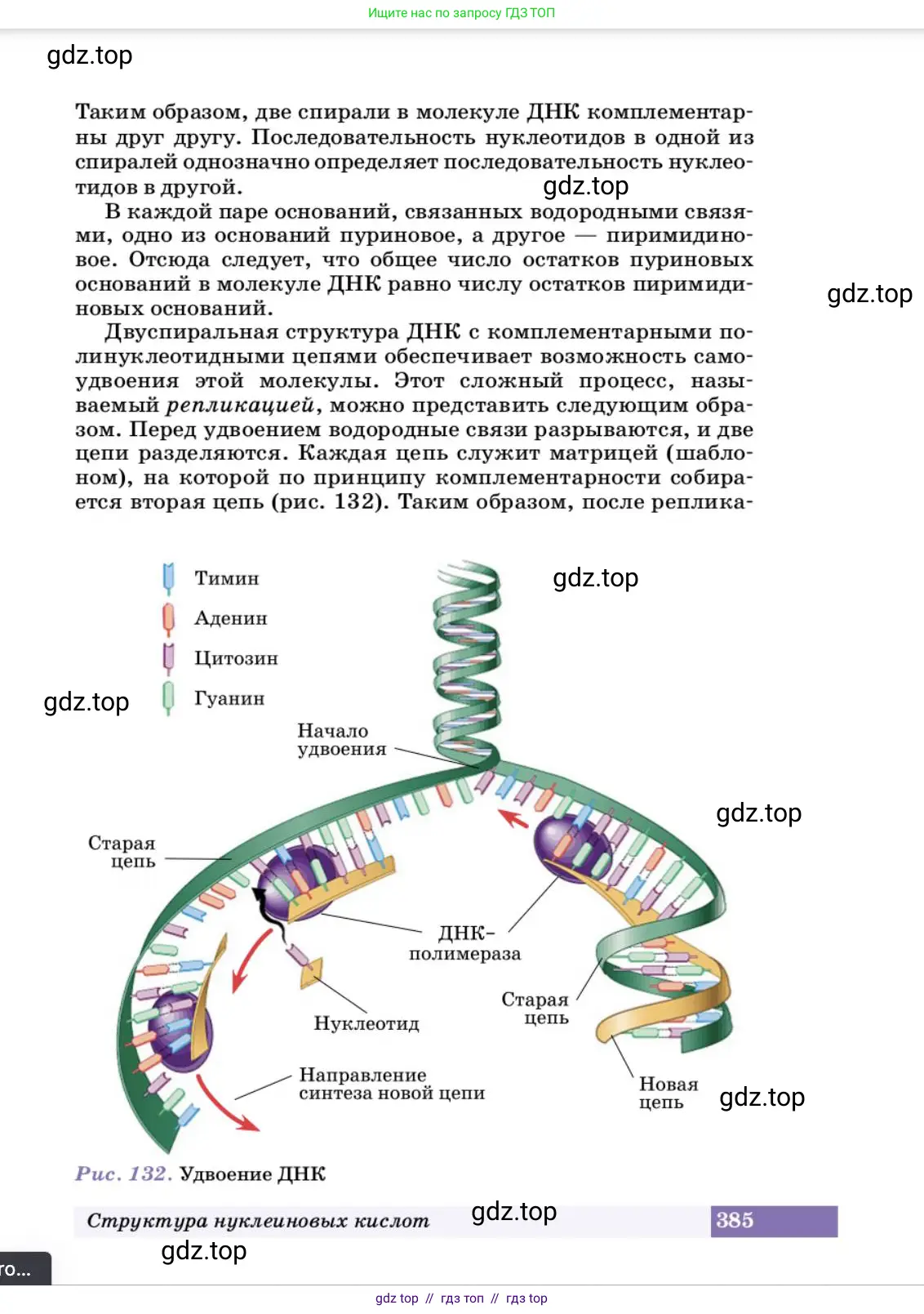 Химия, 10 класс Учебник, авторы: Еремин Вадим Владимирович, Кузьменко Николай Егорович, Теренин Владимир Ильич, Дроздов Андрей Анатольевич, Лунин Валерий Васильевич, издательство Просвещение, Москва, 2023, белого цвета, страница 385