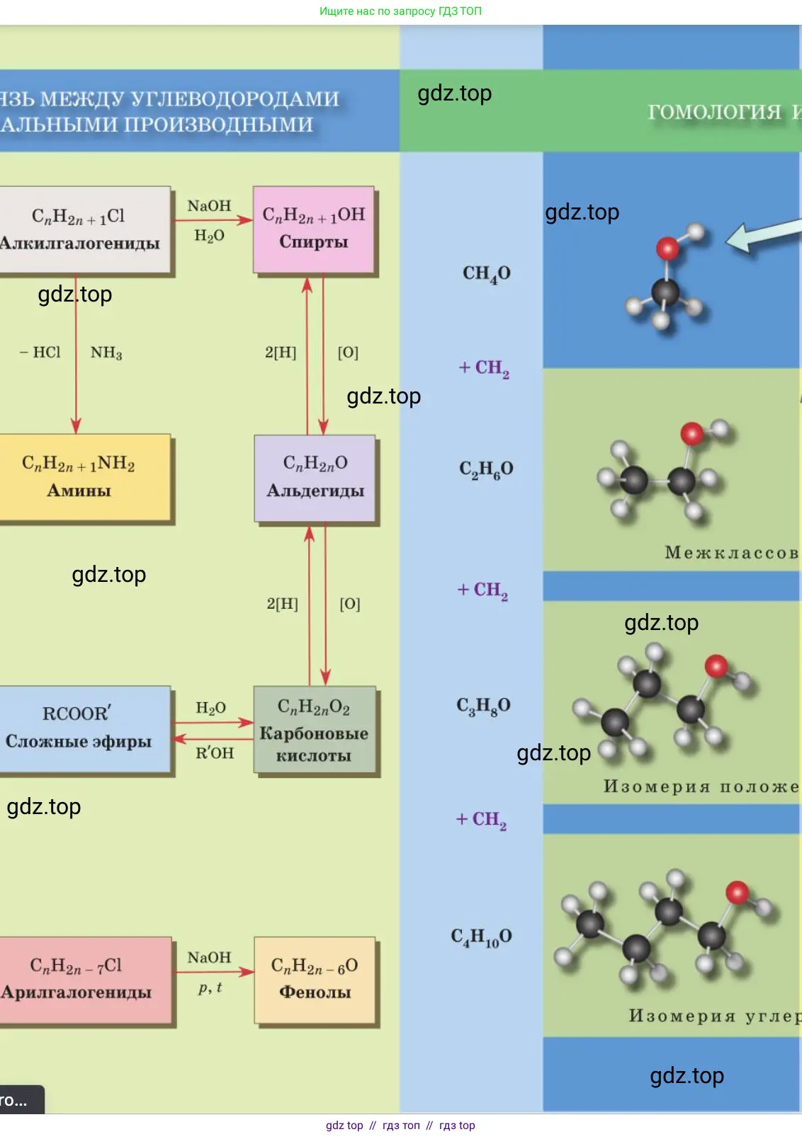 Химия, 10 класс Учебник, авторы: Еремин Вадим Владимирович, Кузьменко Николай Егорович, Теренин Владимир Ильич, Дроздов Андрей Анатольевич, Лунин Валерий Васильевич, издательство Просвещение, Москва, 2023, белого цвета, страница 448