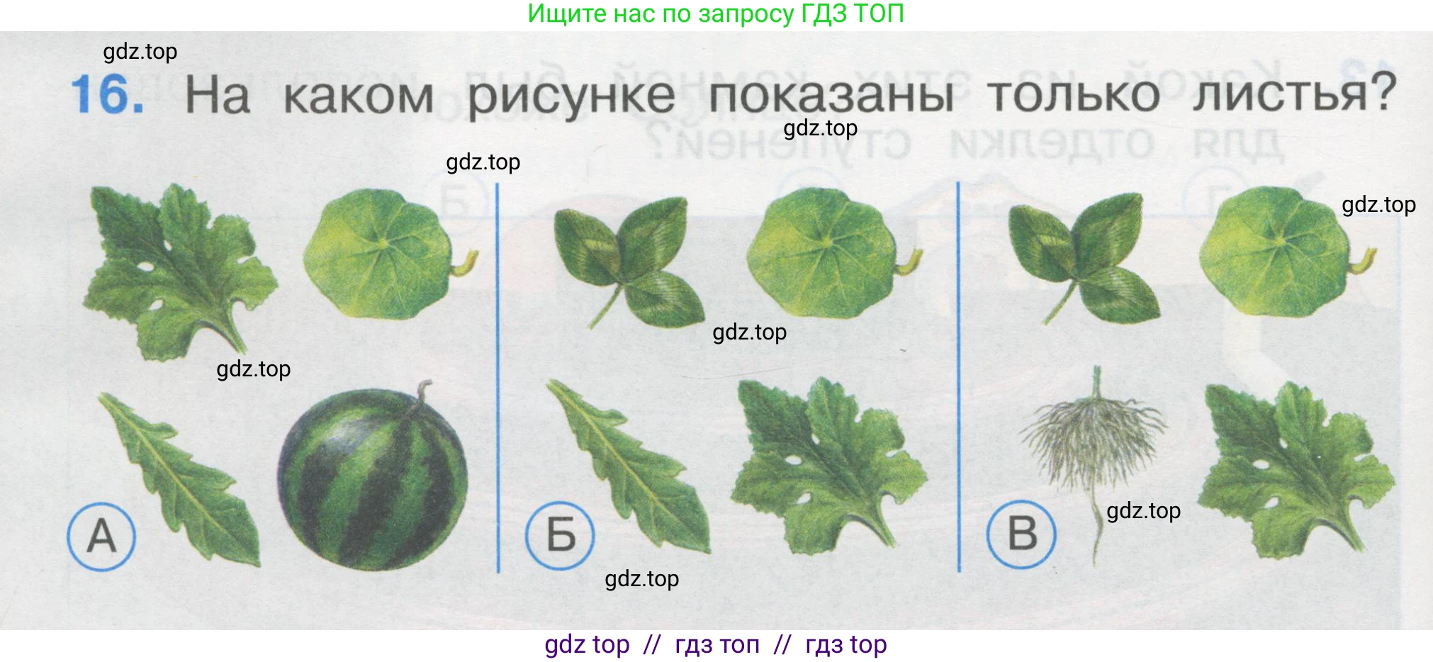 Окружающий мир, 1 класс Тесты, авторы: Плешаков Андрей Анатольевич, Гара Наталья Николаевна, Назарова З Д, издательство Просвещение, Москва, 2015, белого цвета, страница 8, номер 16, Условие