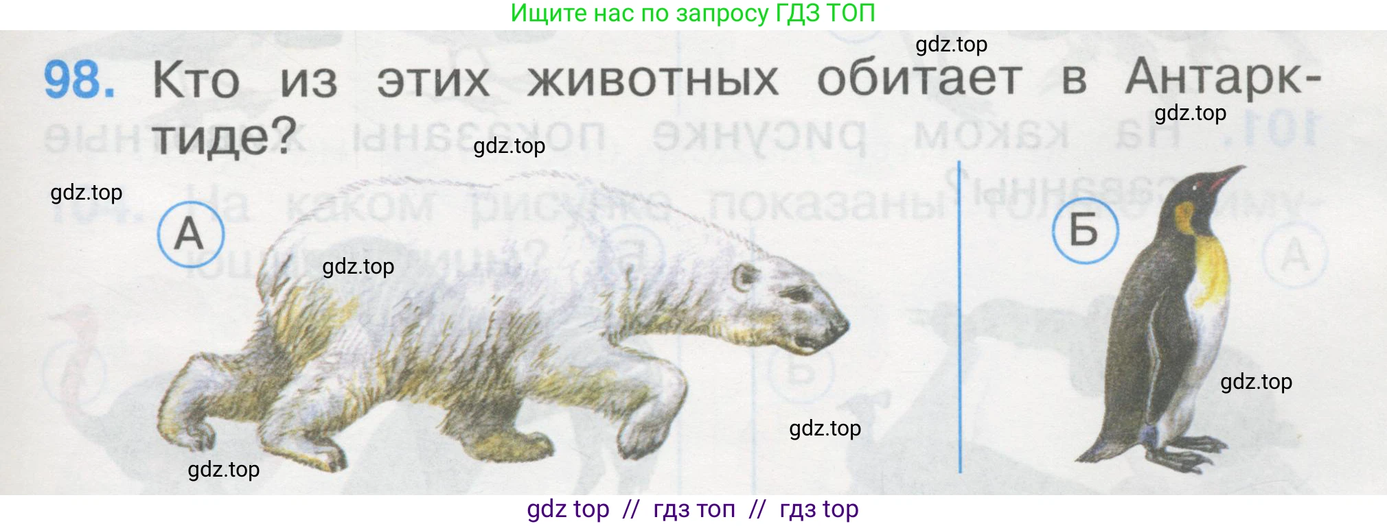 Окружающий мир, 1 класс Тесты, авторы: Плешаков Андрей Анатольевич, Гара Наталья Николаевна, Назарова З Д, издательство Просвещение, Москва, 2015, белого цвета, страница 35, номер 98, Условие