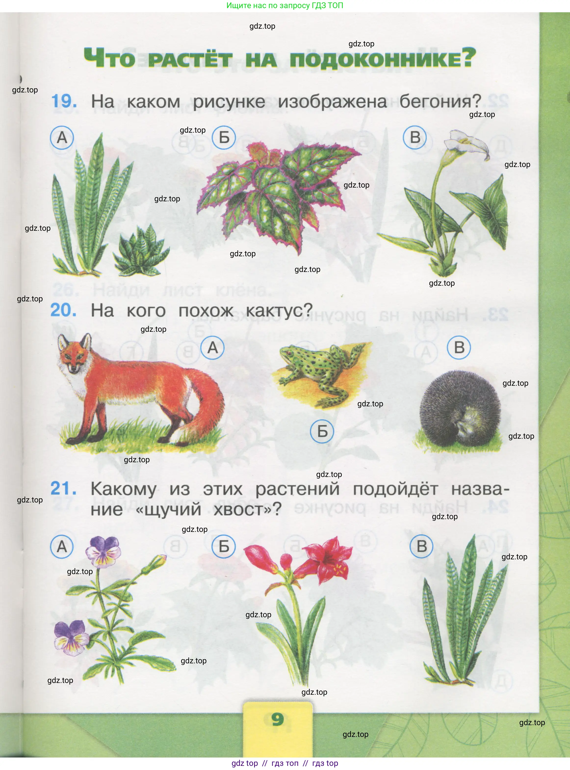 Окружающий мир, 1 класс Тесты, авторы: Плешаков Андрей Анатольевич, Гара Наталья Николаевна, Назарова З Д, издательство Просвещение, Москва, 2015, белого цвета, страница 9