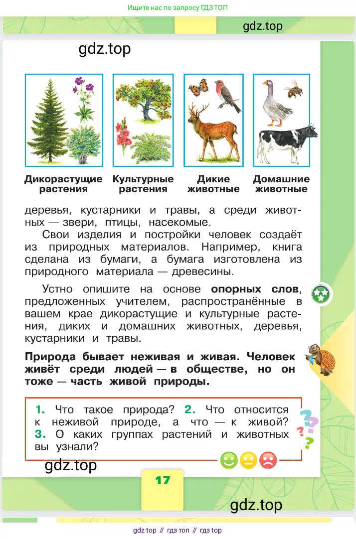 Окружающий мир, 1 класс Учебник, автор: Плешаков Андрей Анатольевич, издательство Просвещение, Москва, 2023, белого цвета, страница 17
