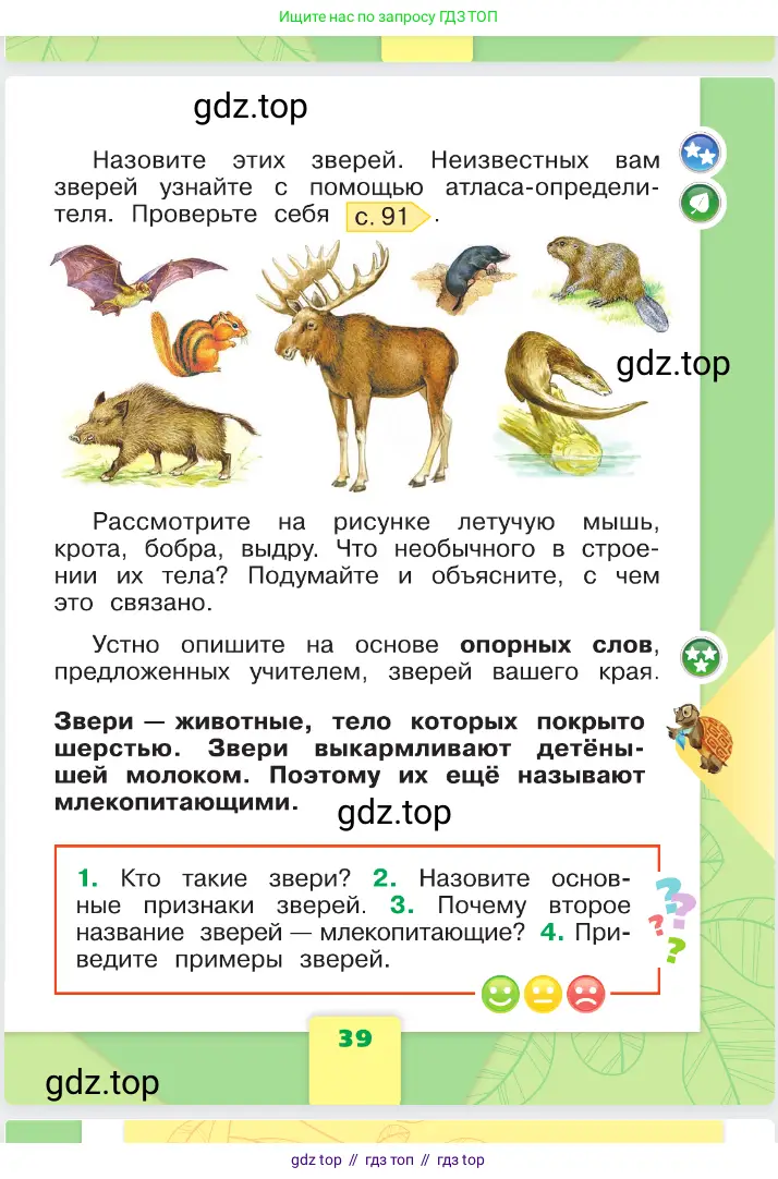 Окружающий мир, 1 класс Учебник, автор: Плешаков Андрей Анатольевич, издательство Просвещение, Москва, 2023, белого цвета, страница 39