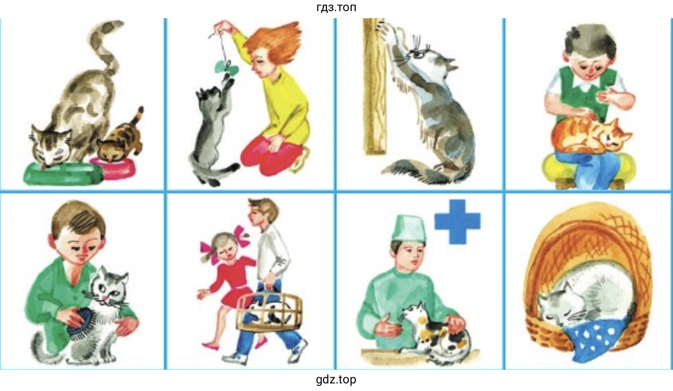 как нужно заботиться о домашних животных