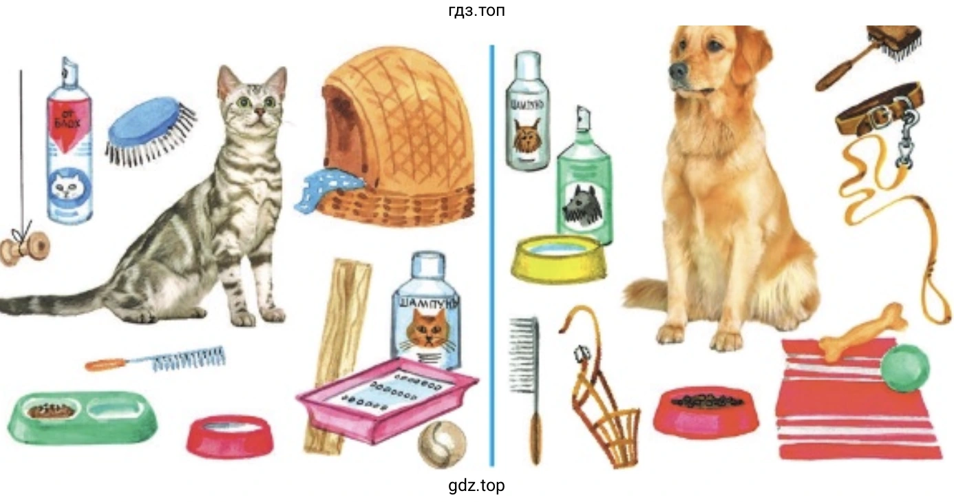 Назовите предметы ухода за кошкой и собакой