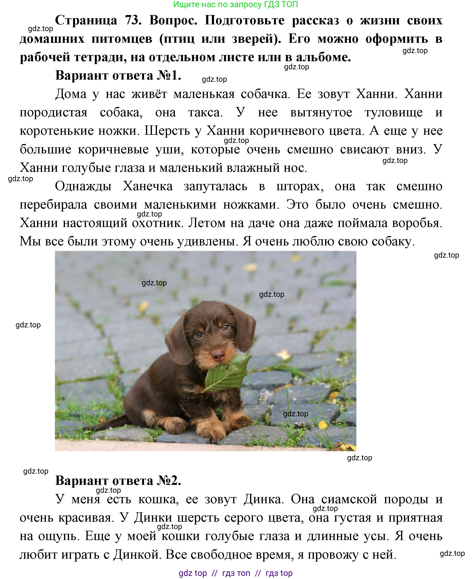Окружающий мир, 1 класс Учебник, автор: Плешаков Андрей Анатольевич, издательство Просвещение, Москва, 2023, белого цвета, Часть 2, страница 72, Решение 2 (продолжение 2)