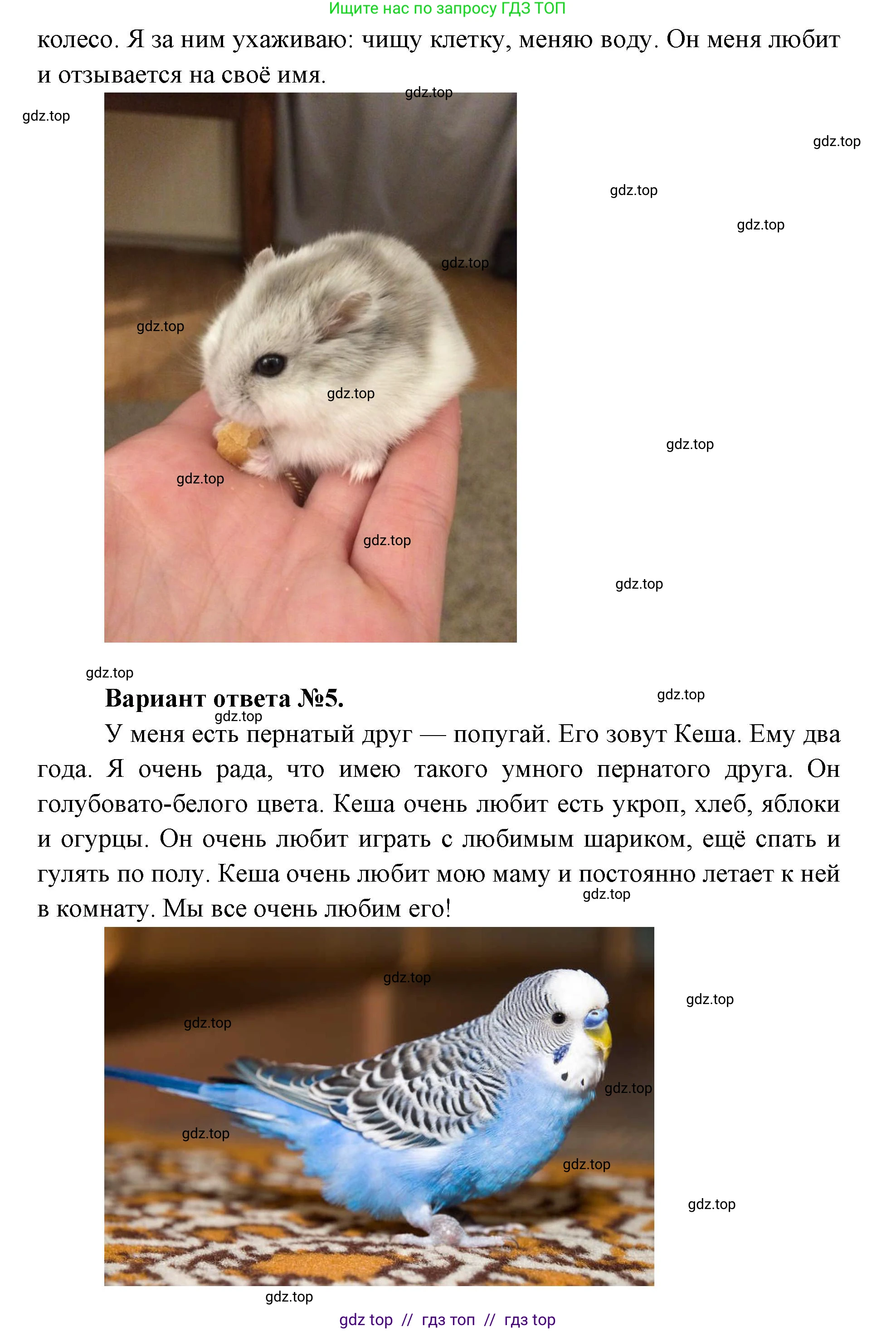 Окружающий мир, 1 класс Учебник, автор: Плешаков Андрей Анатольевич, издательство Просвещение, Москва, 2023, белого цвета, Часть 2, страница 72, Решение 2 (продолжение 4)