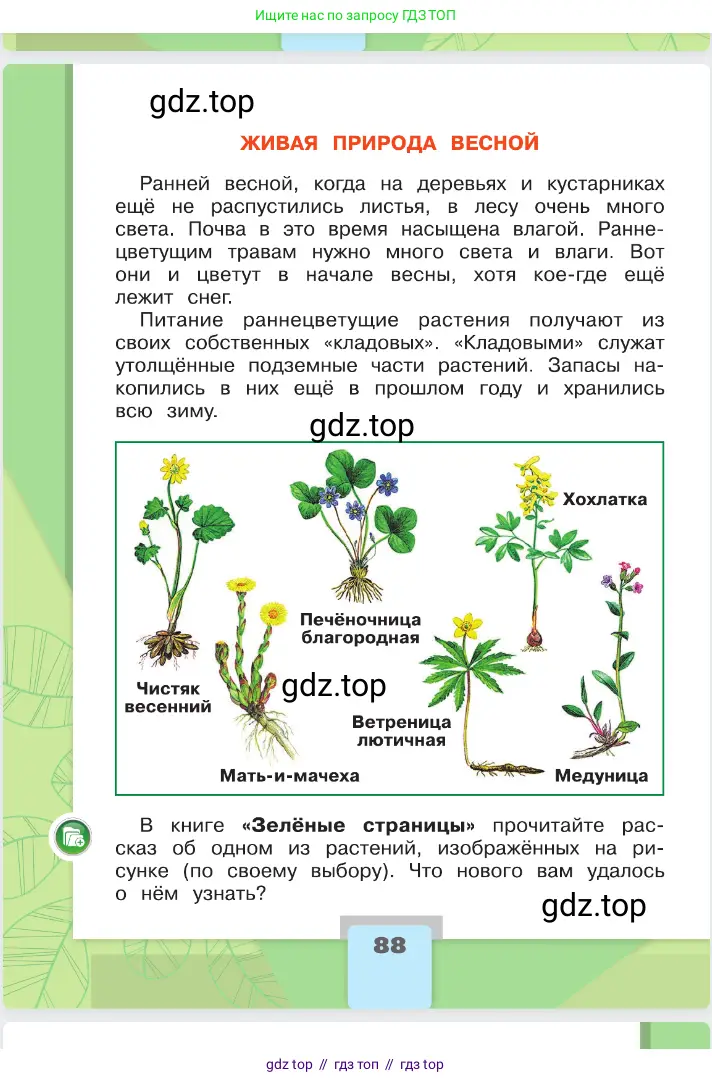 Окружающий мир, 2 класс Учебник, автор: Плешаков Андрей Анатольевич, издательство Просвещение, Москва, 2023, белого цвета, страница 88