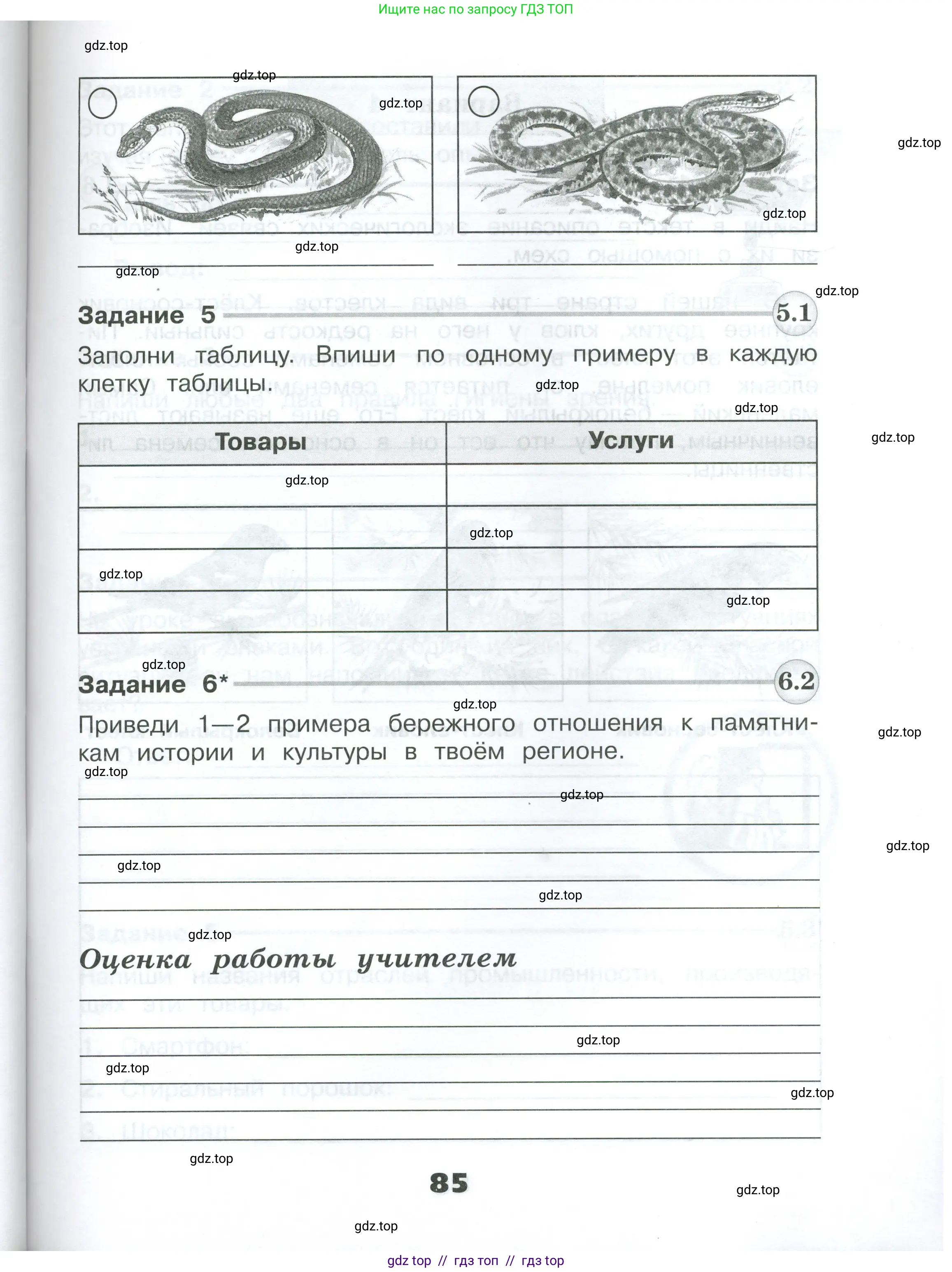Окружающий мир, 3 класс Проверочные работы, авторы: Плешаков Андрей Анатольевич, Плешаков С А, издательство Просвещение, Москва, 2023, белого цвета, страница 85