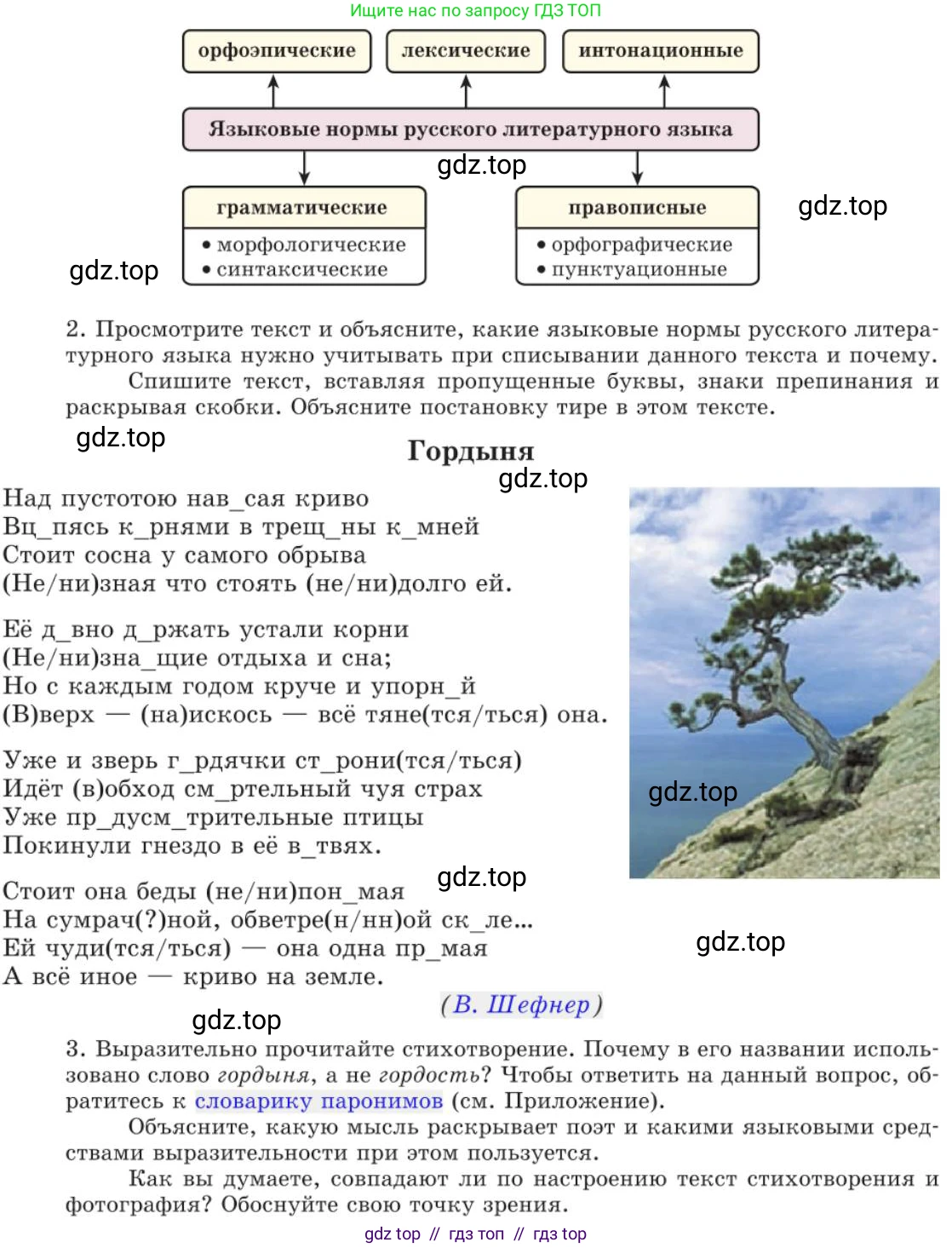 Русский язык, 11 класс Учебник, авторы: Львова Светлана Ивановна, Львов Валентин Витальевич, издательство Мнемозина, Москва, 2019, серого цвета, страница 245, номер 190, Условие (продолжение 2)