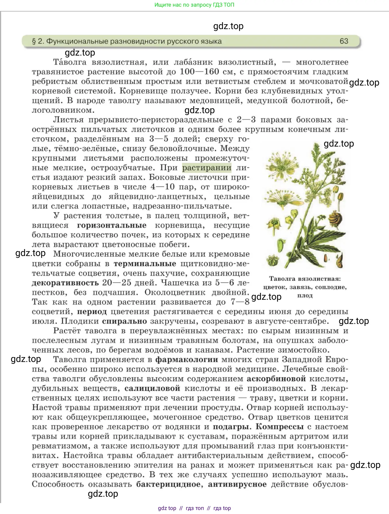 Русский язык, 11 класс Учебник, авторы: Львова Светлана Ивановна, Львов Валентин Витальевич, издательство Мнемозина, Москва, 2019, серого цвета, страница 63